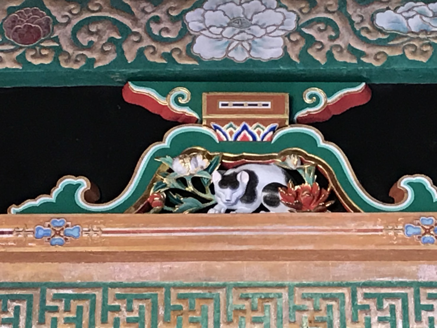 画像の説明