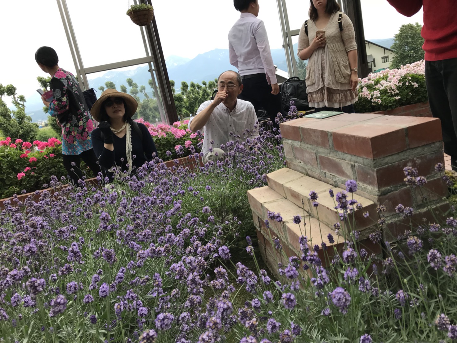 画像の説明