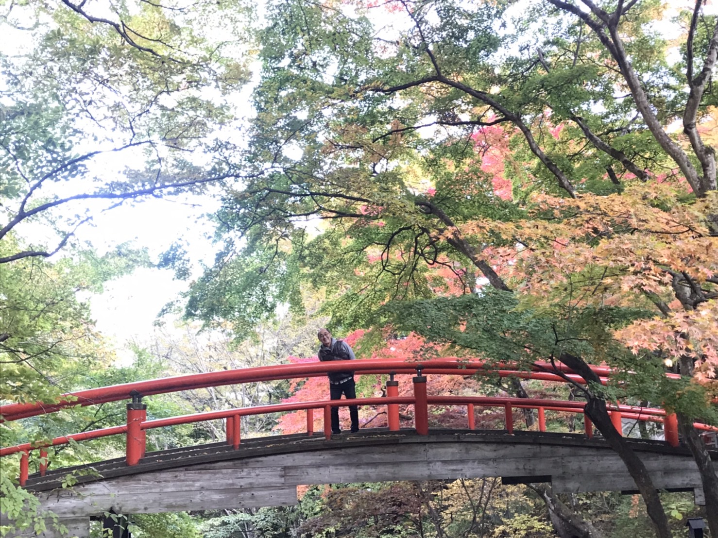 画像の説明