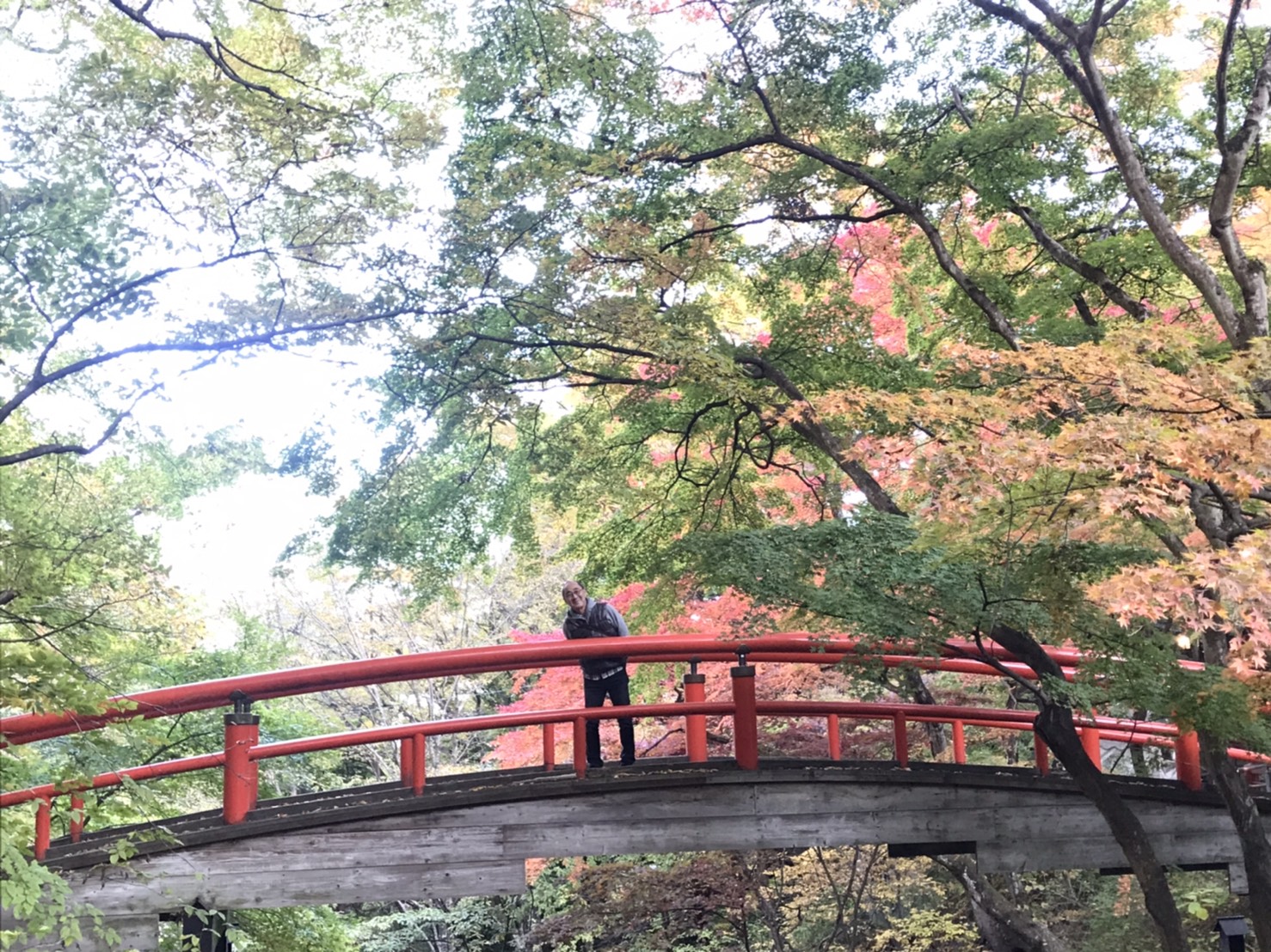 伊香保温泉 河鹿橋　画像の説明