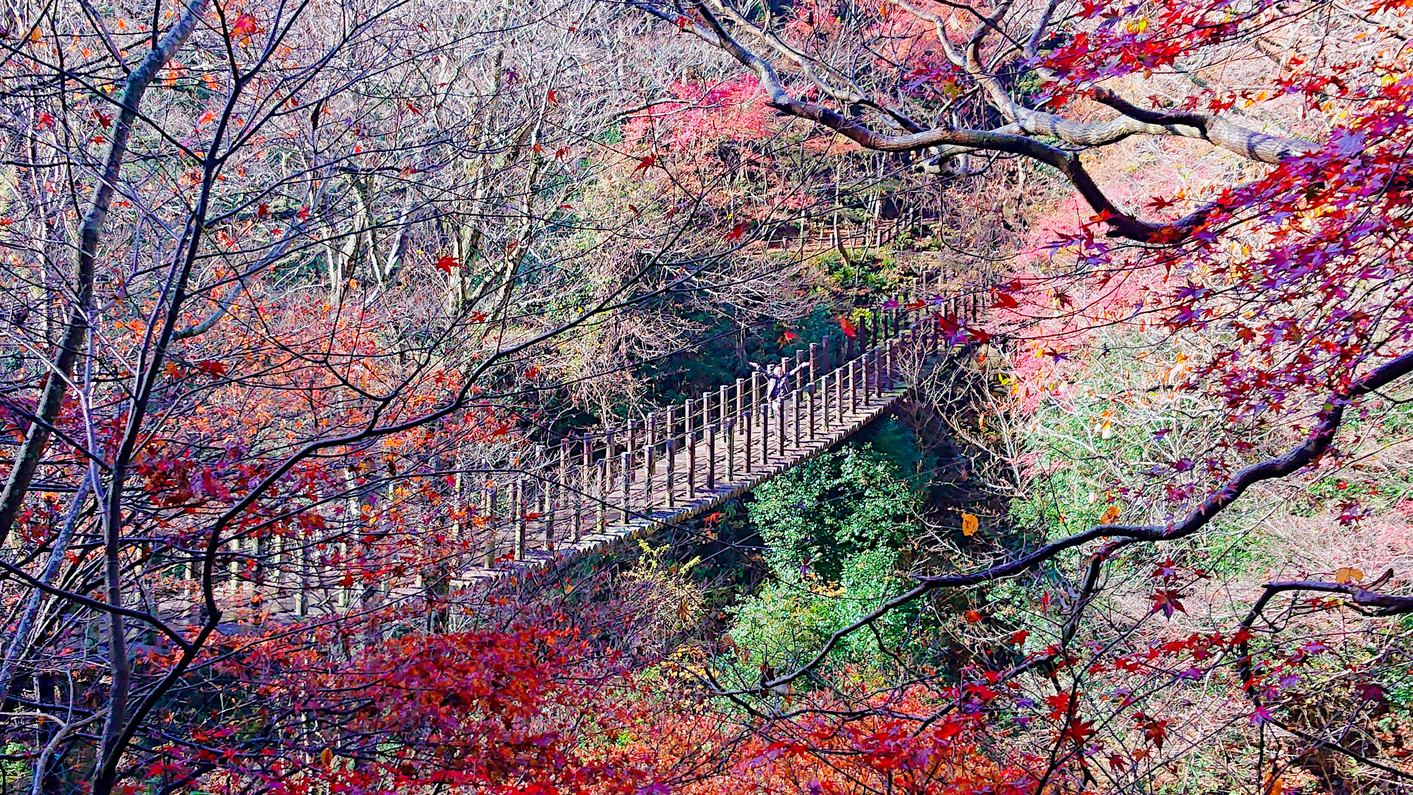 花貫渓谷 汐見滝吊り橋 画像の説明