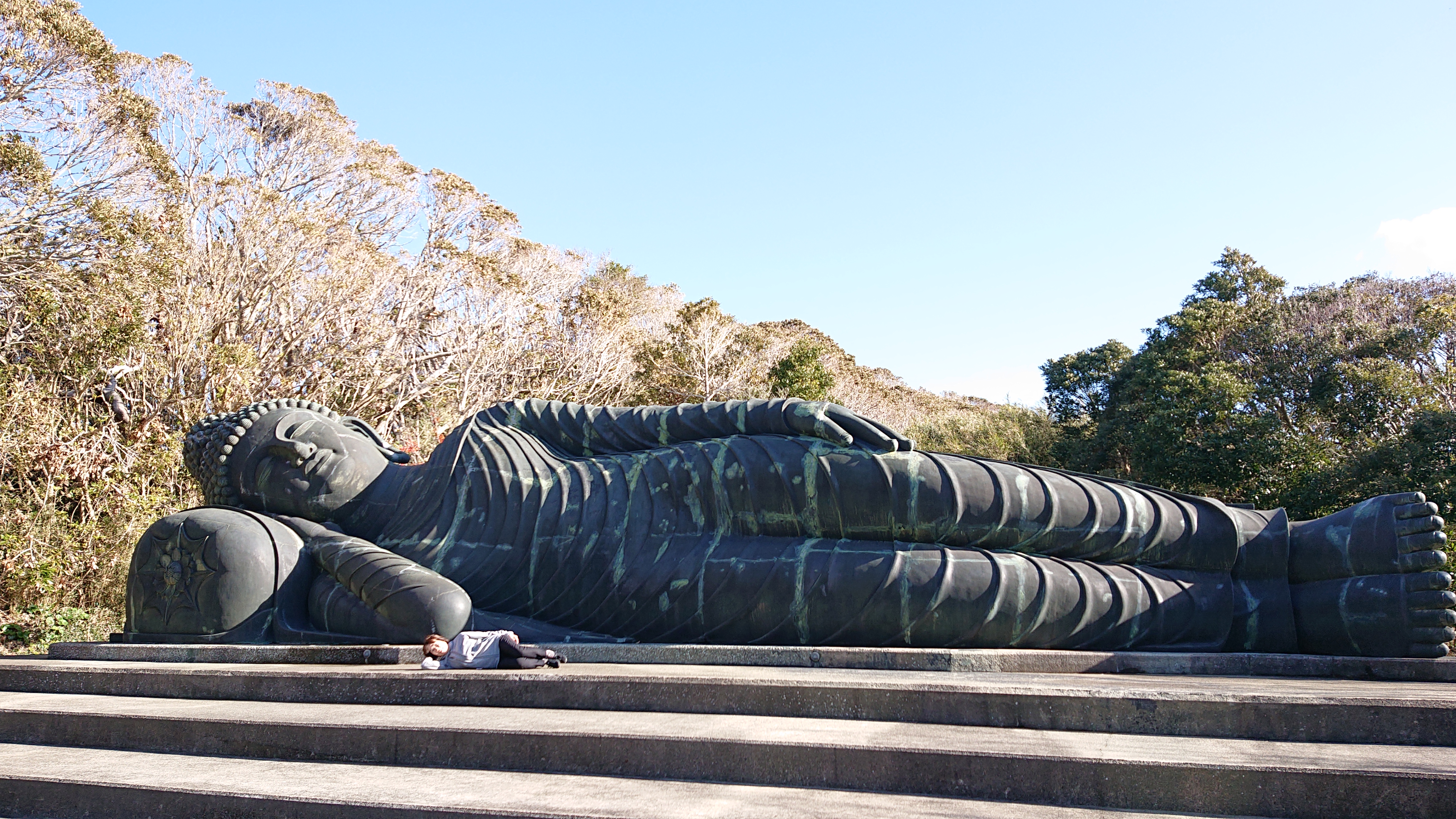 画像の説明