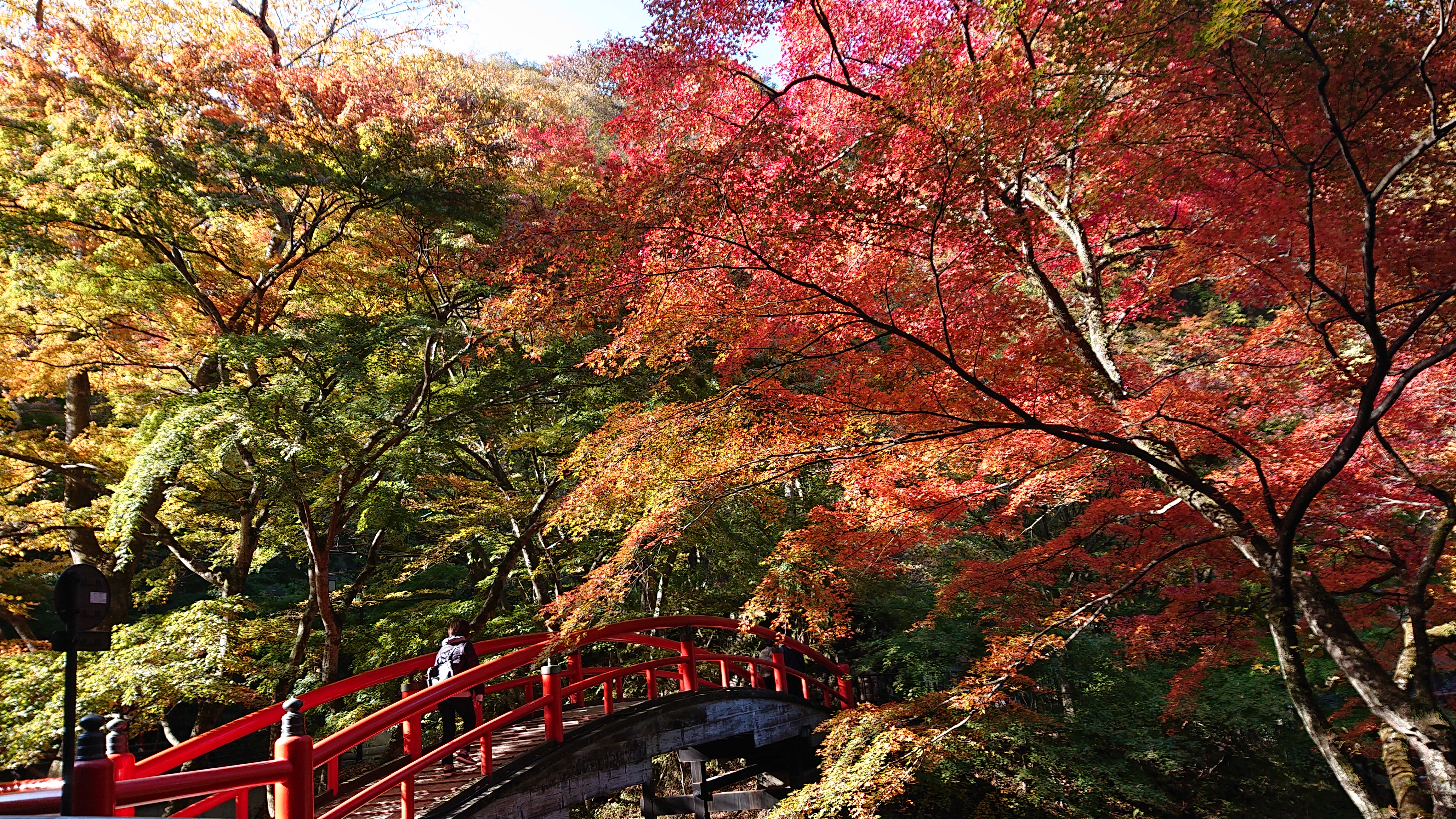 伊香保温泉 河鹿橋　画像の説明