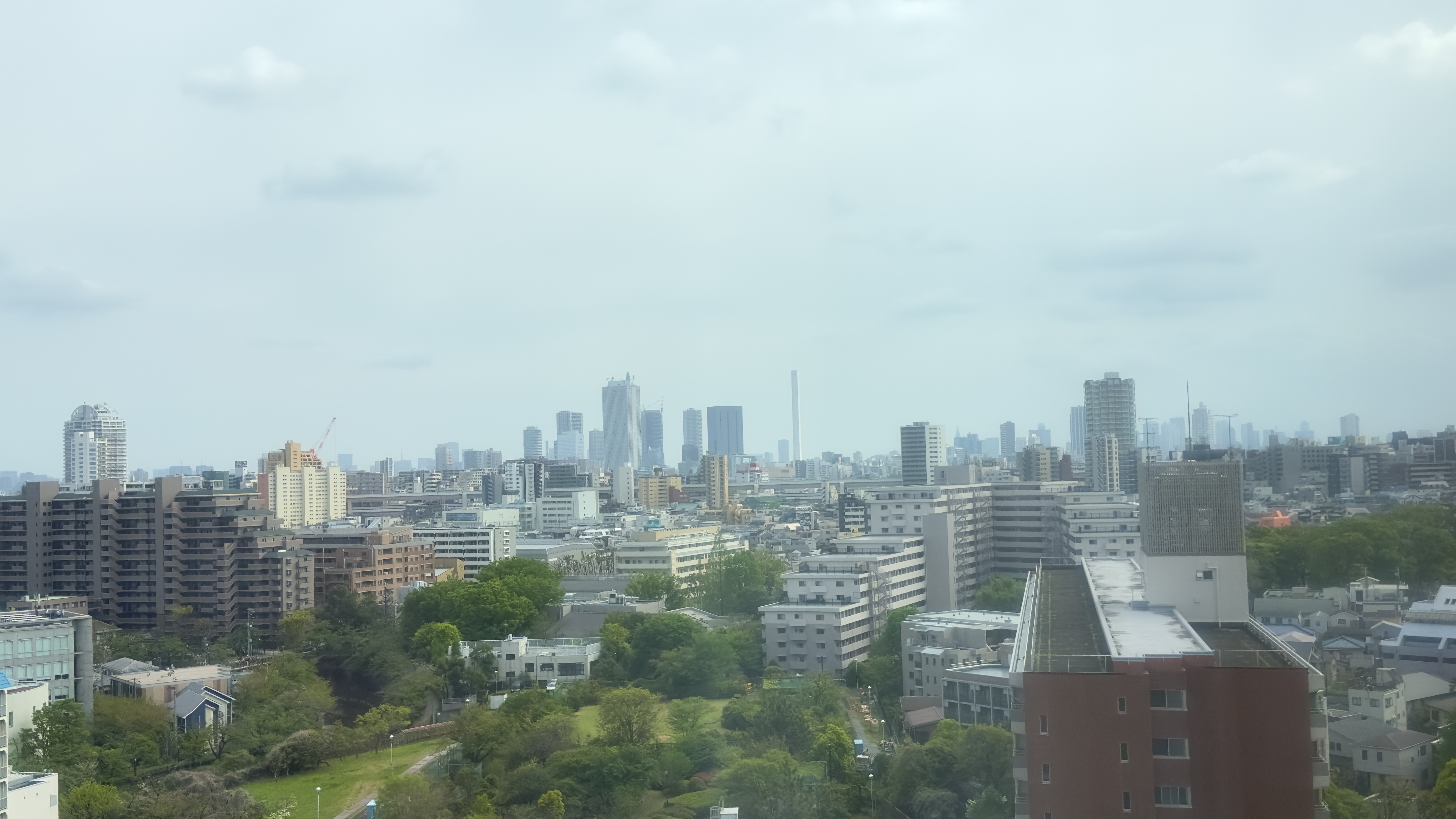 画像の説明