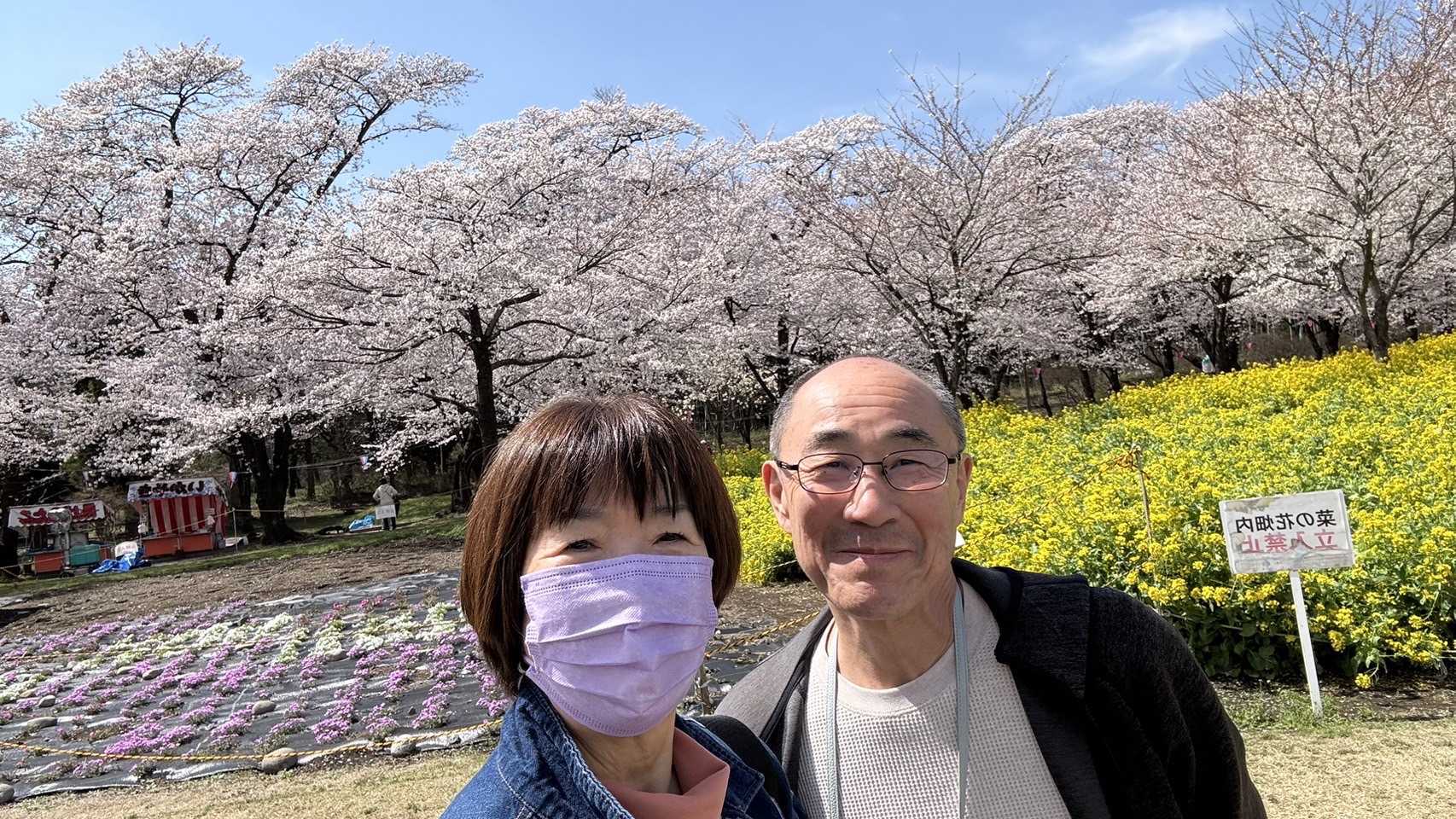 赤城南面千本桜