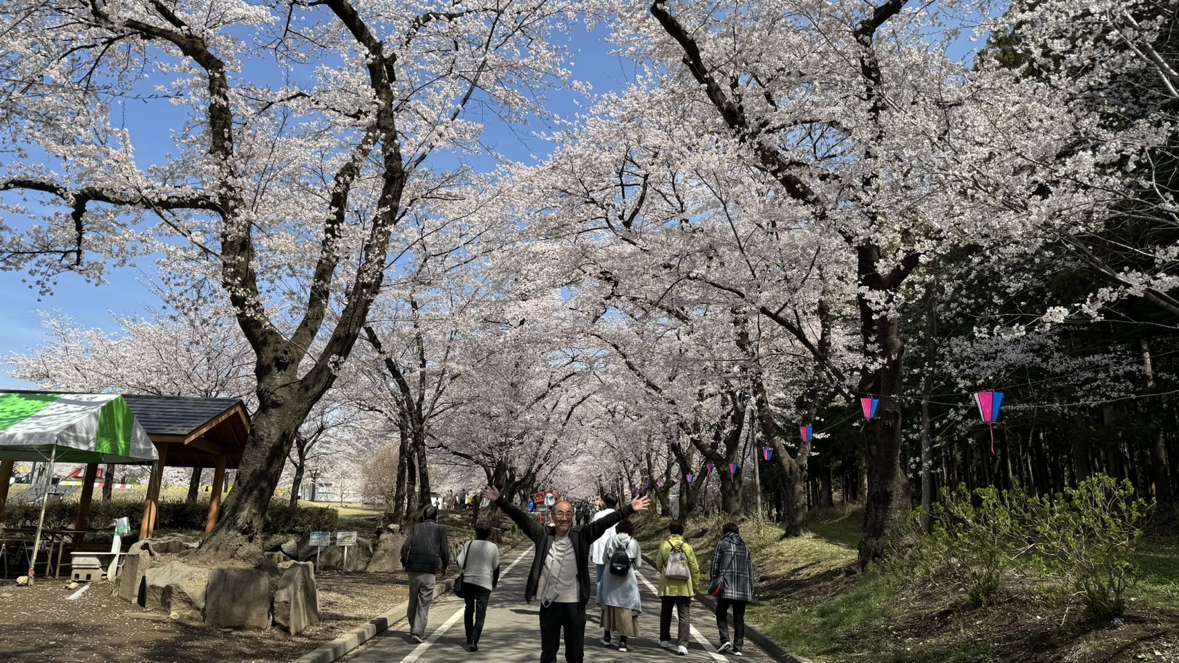 赤城南面千本桜