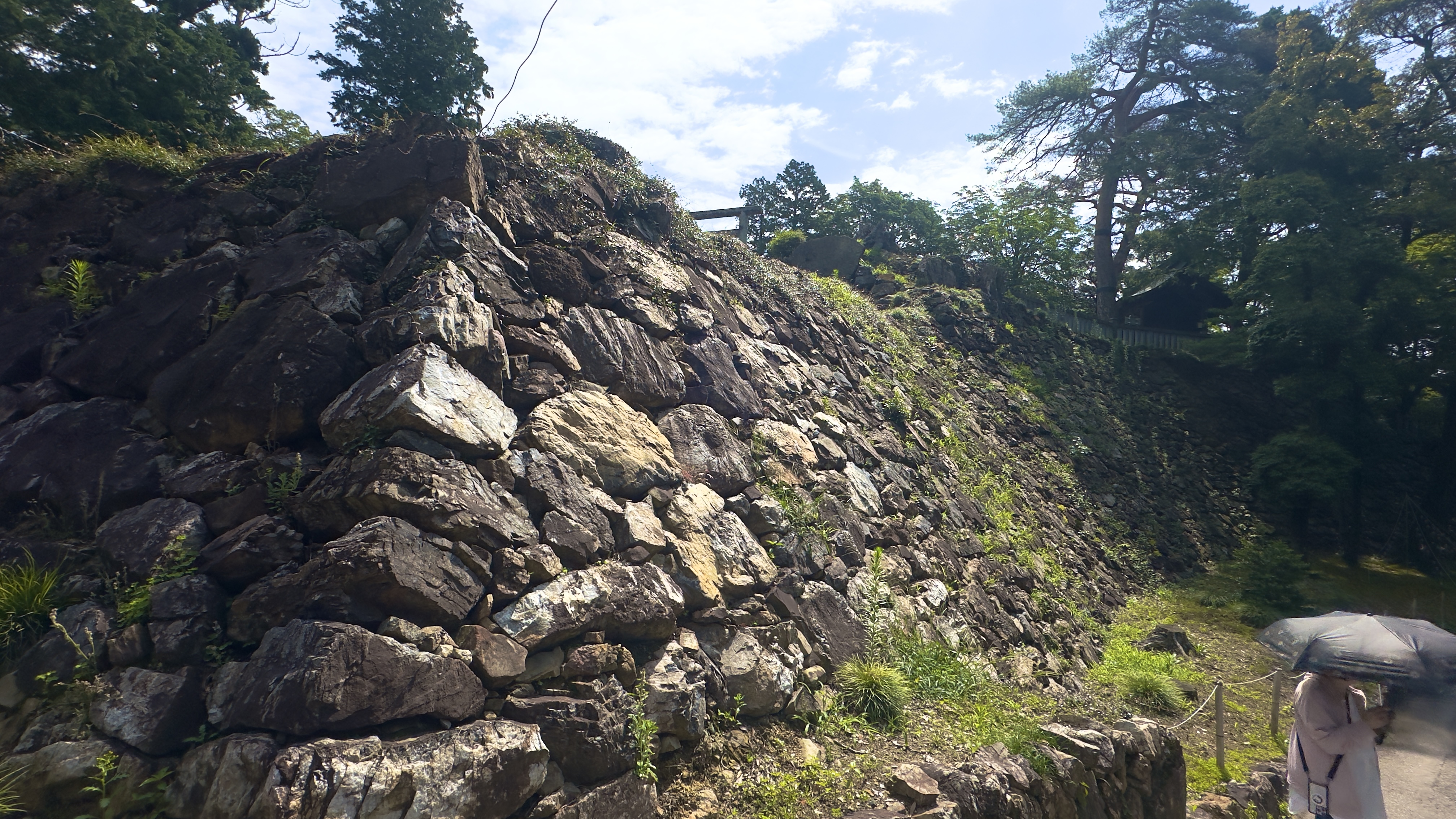 唐沢山城跡