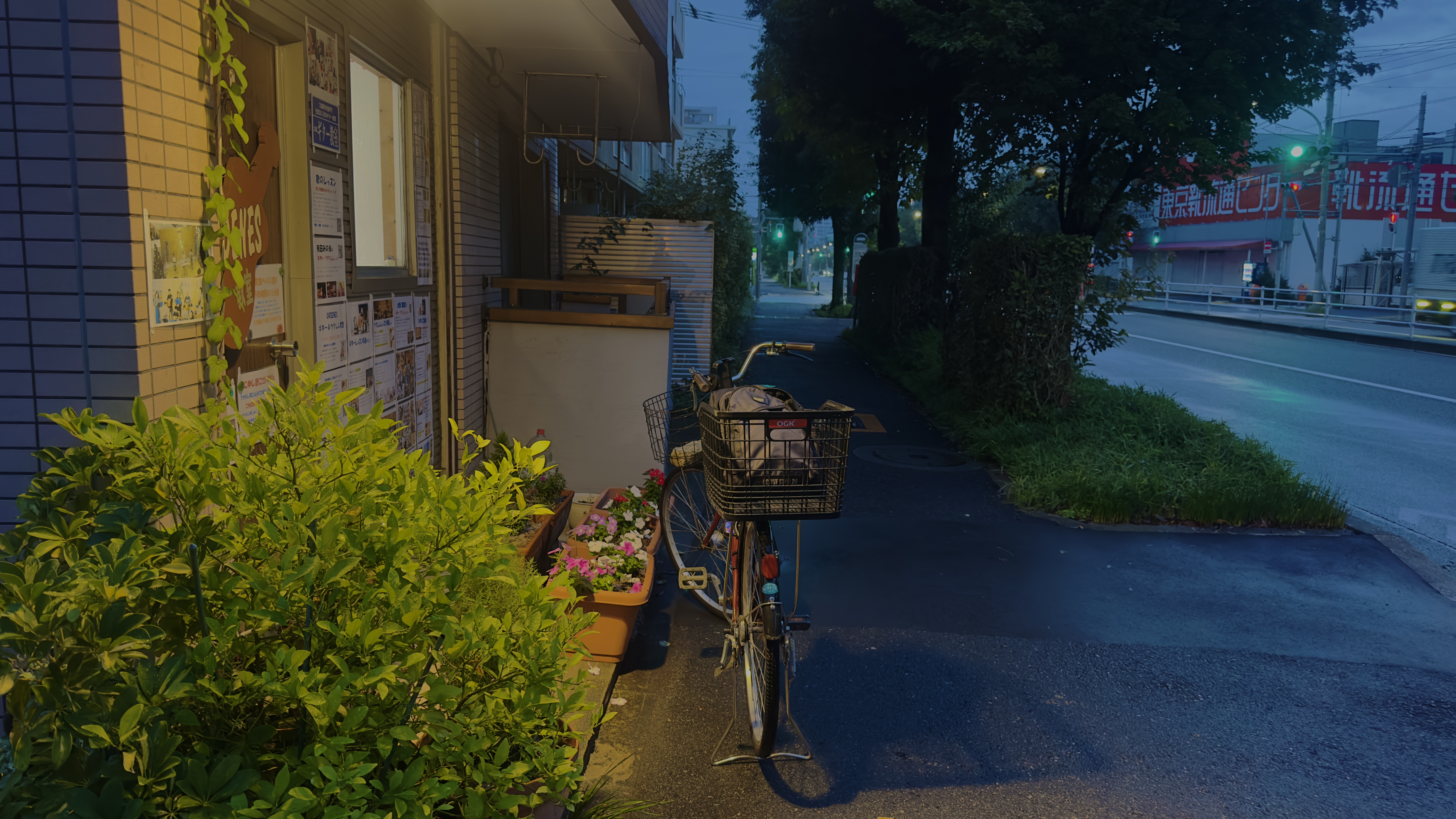 画像の説明 画像の説明
