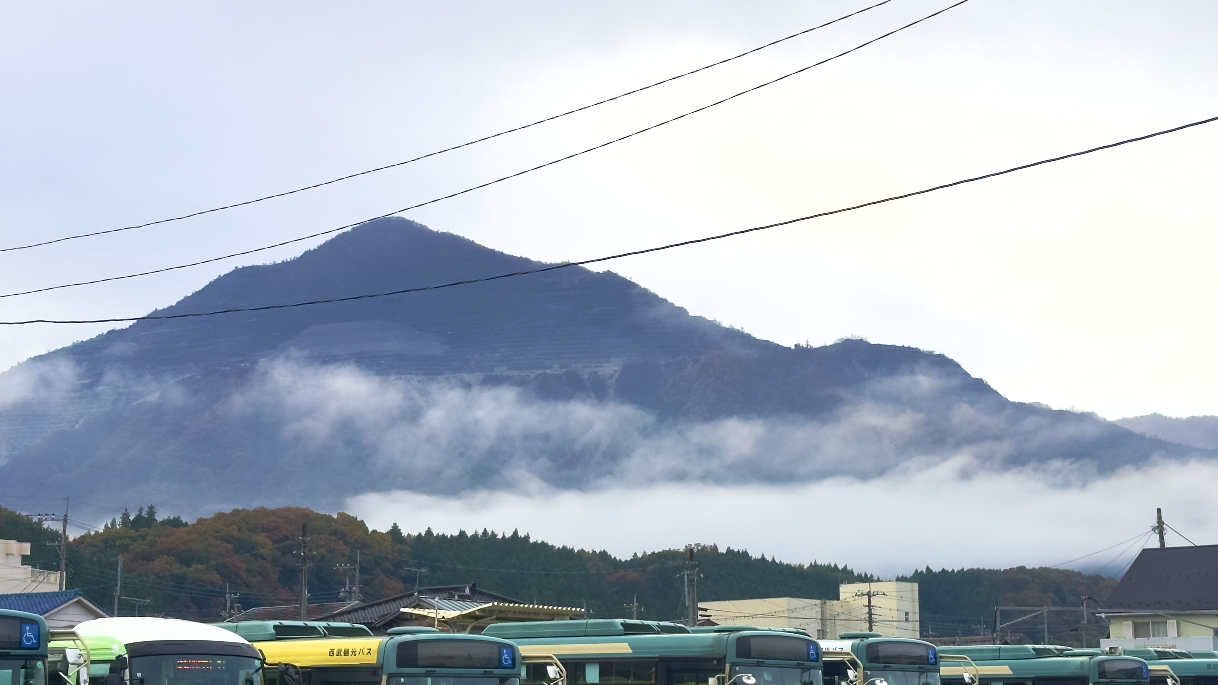 画像の説明