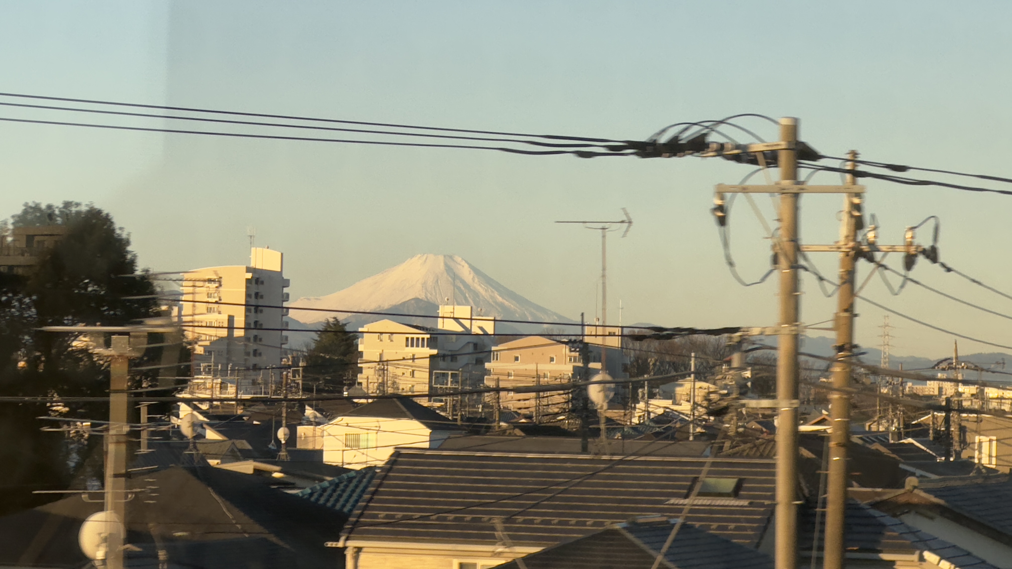 特急ラビュー石神井公園あたりから富士山🗻が綺麗でした