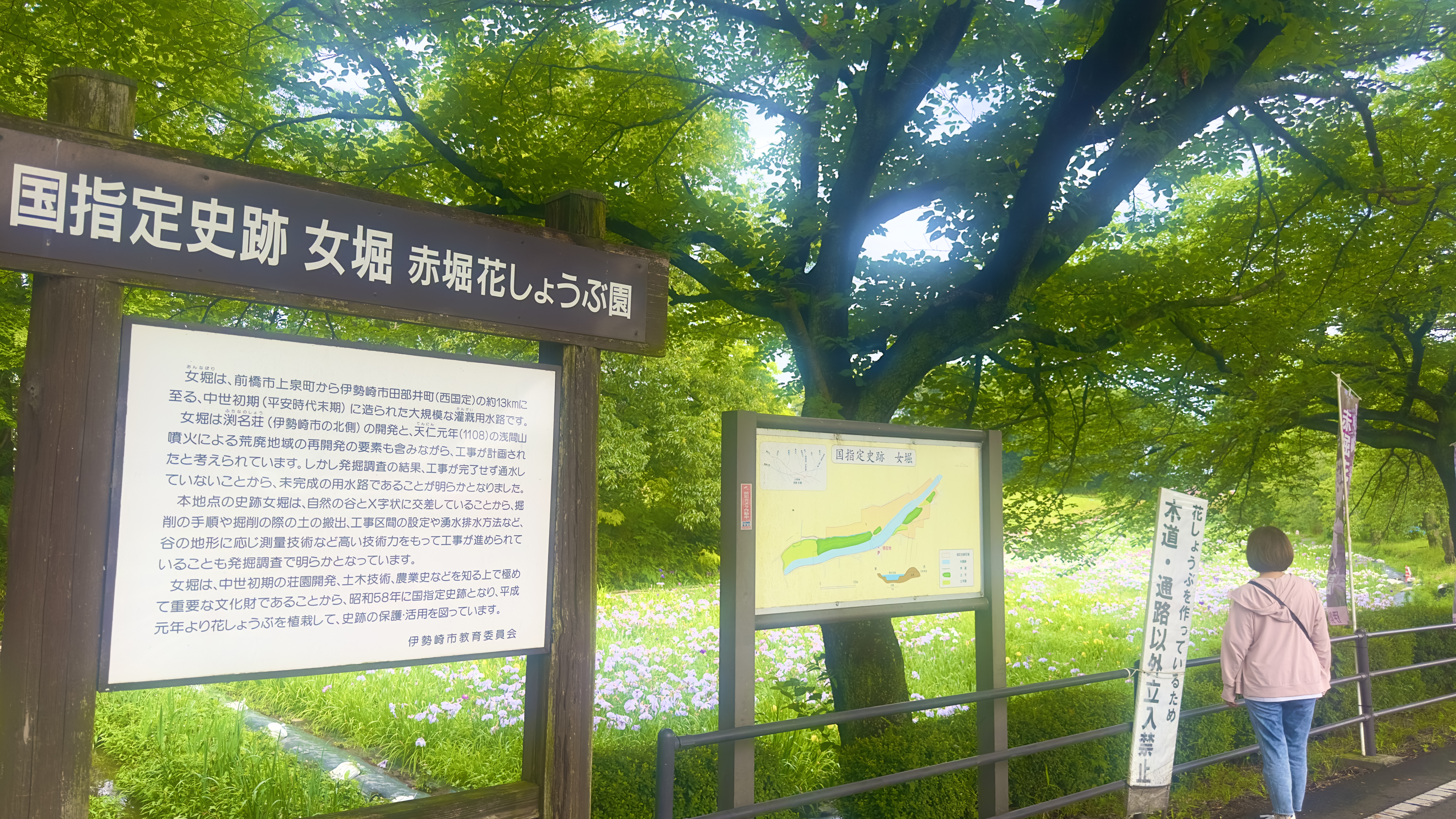 画像の説明