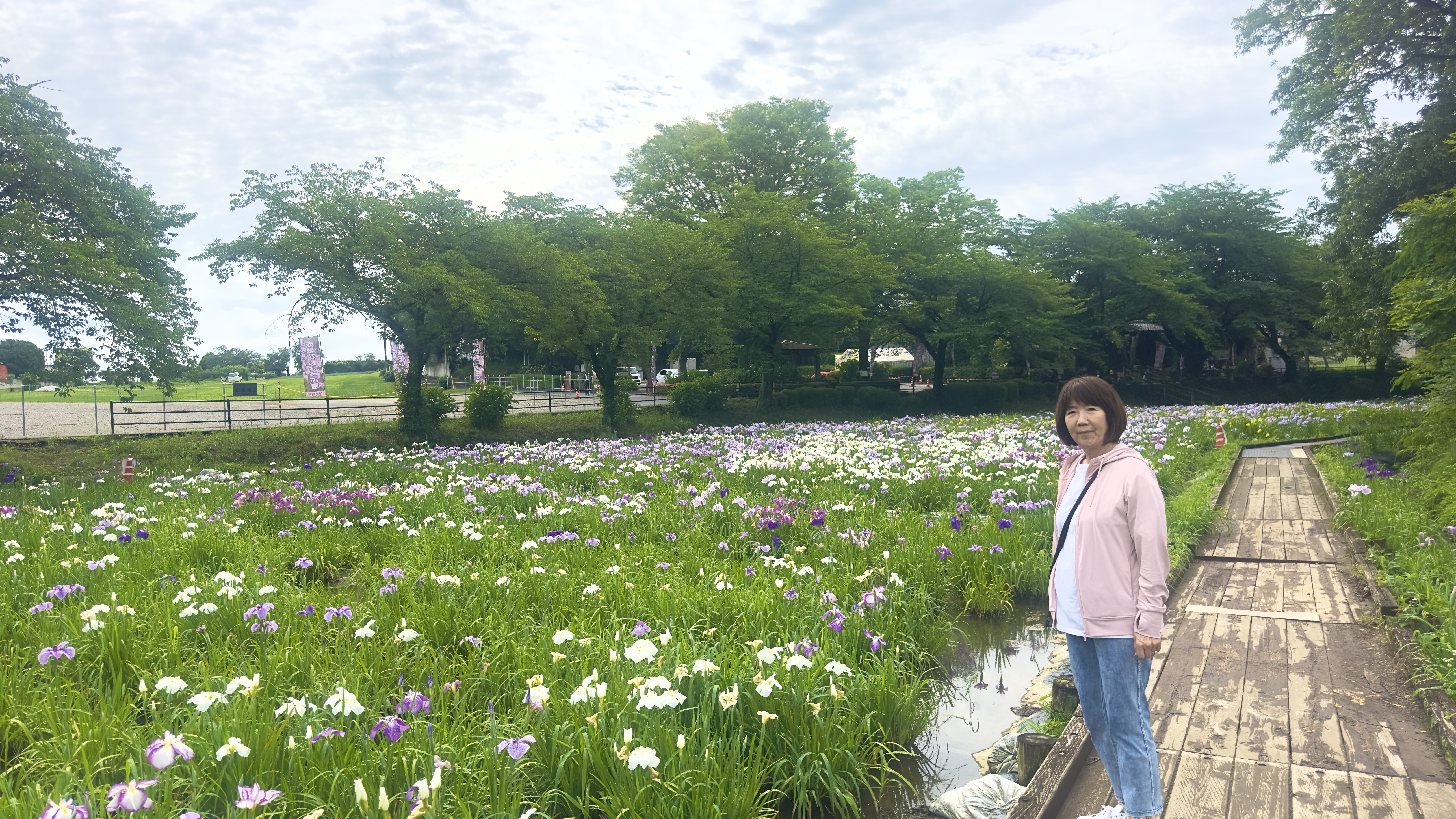 画像の説明
