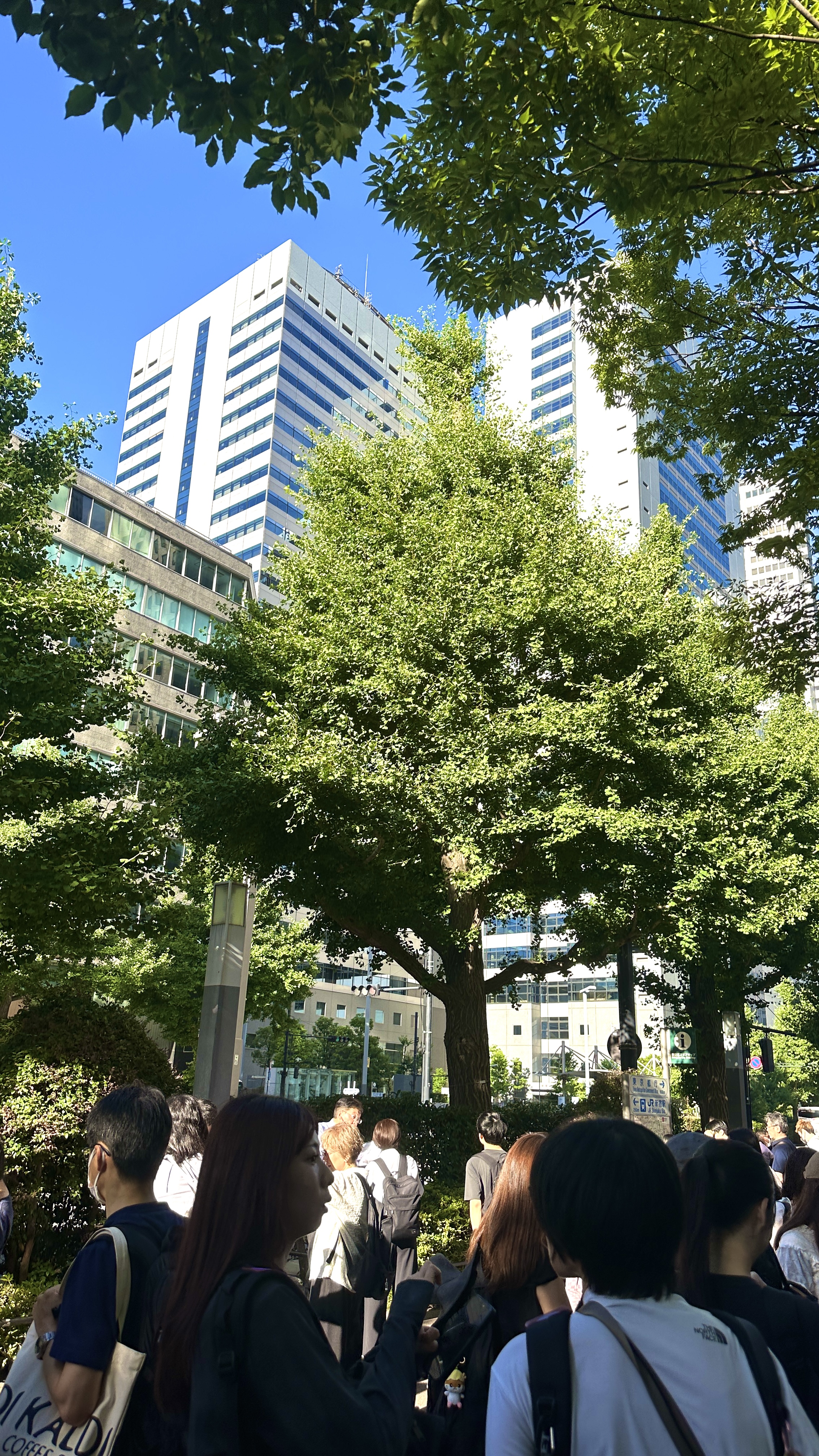 HIS 大自然がココロうるおす♪冷たい水の満ちる山岳リゾート上高地フリータイム
