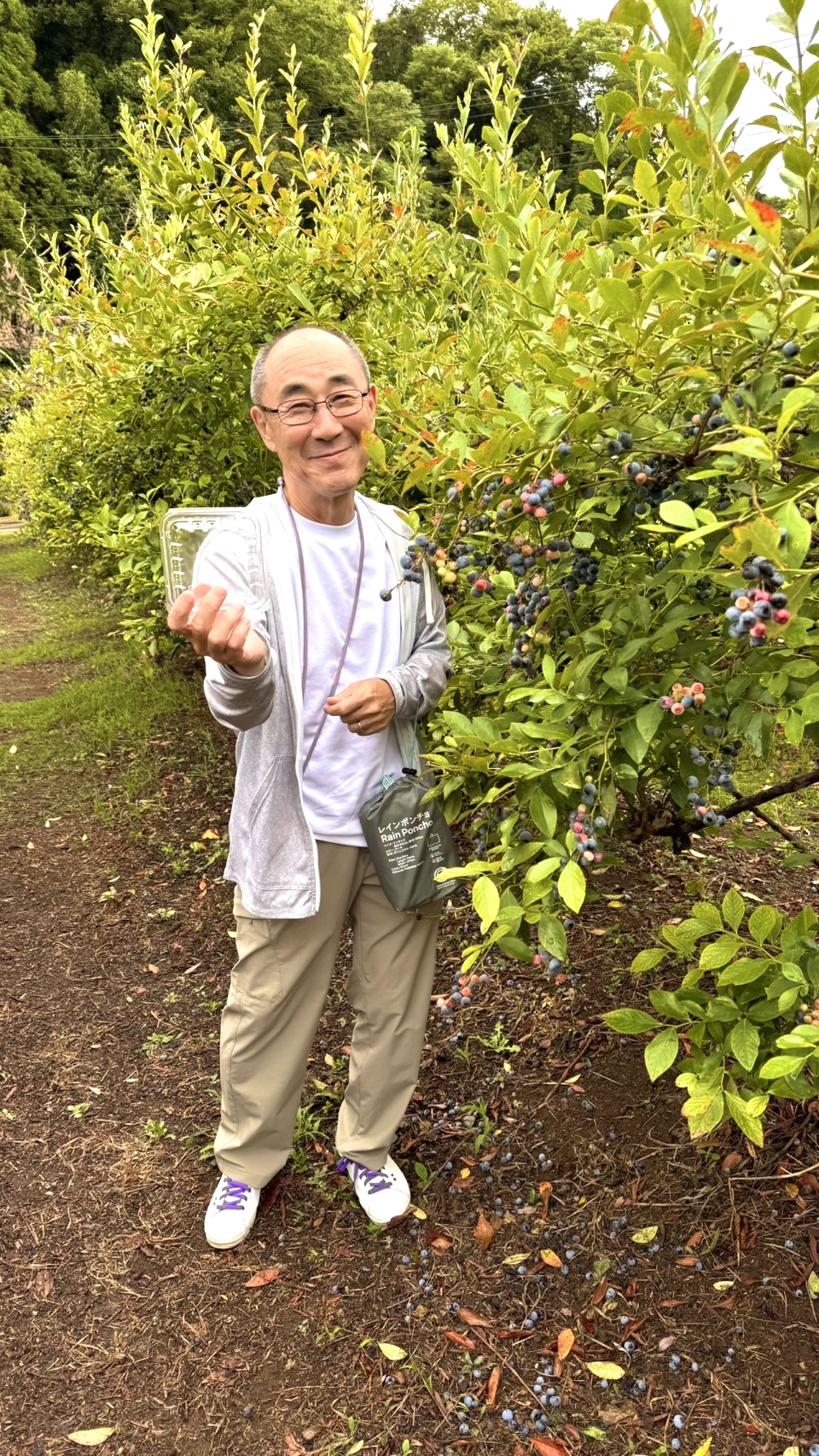 フルーツ街道夢農場 ブルーベリー狩り