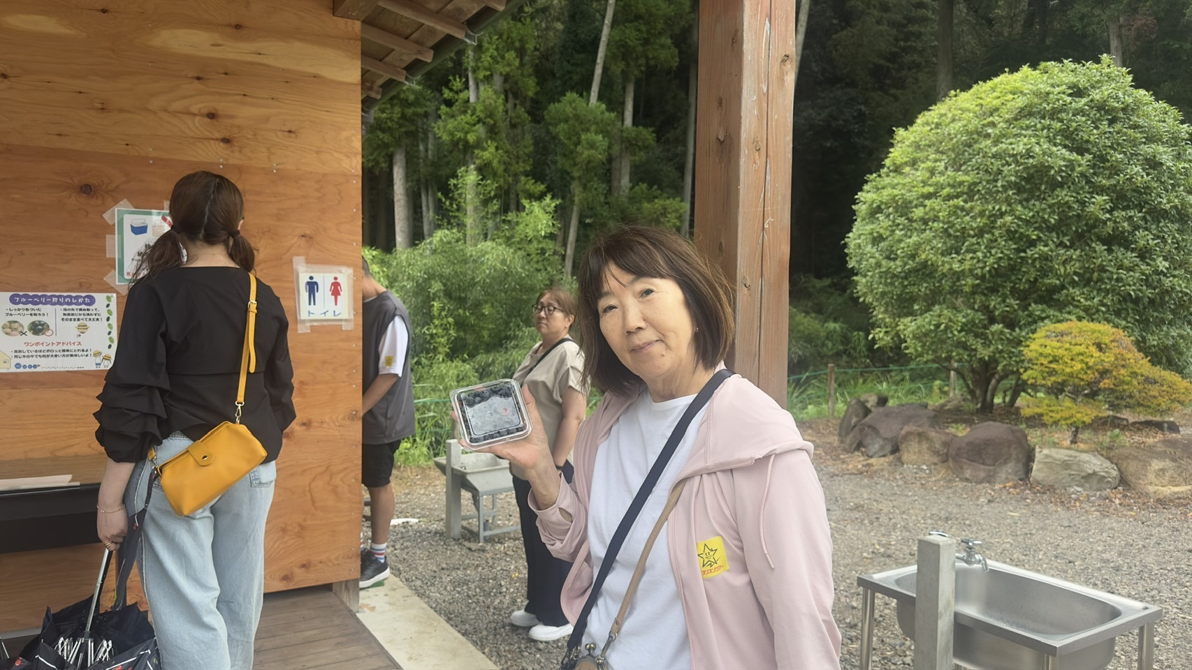 フルーツ街道夢農場 ブルーベリー狩り