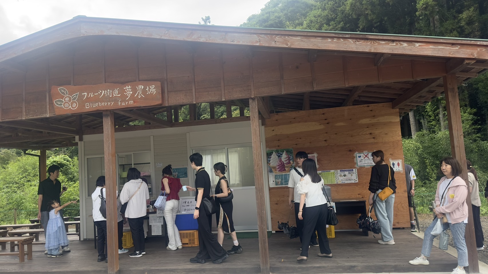 フルーツ街道夢農場 ブルーベリー狩り