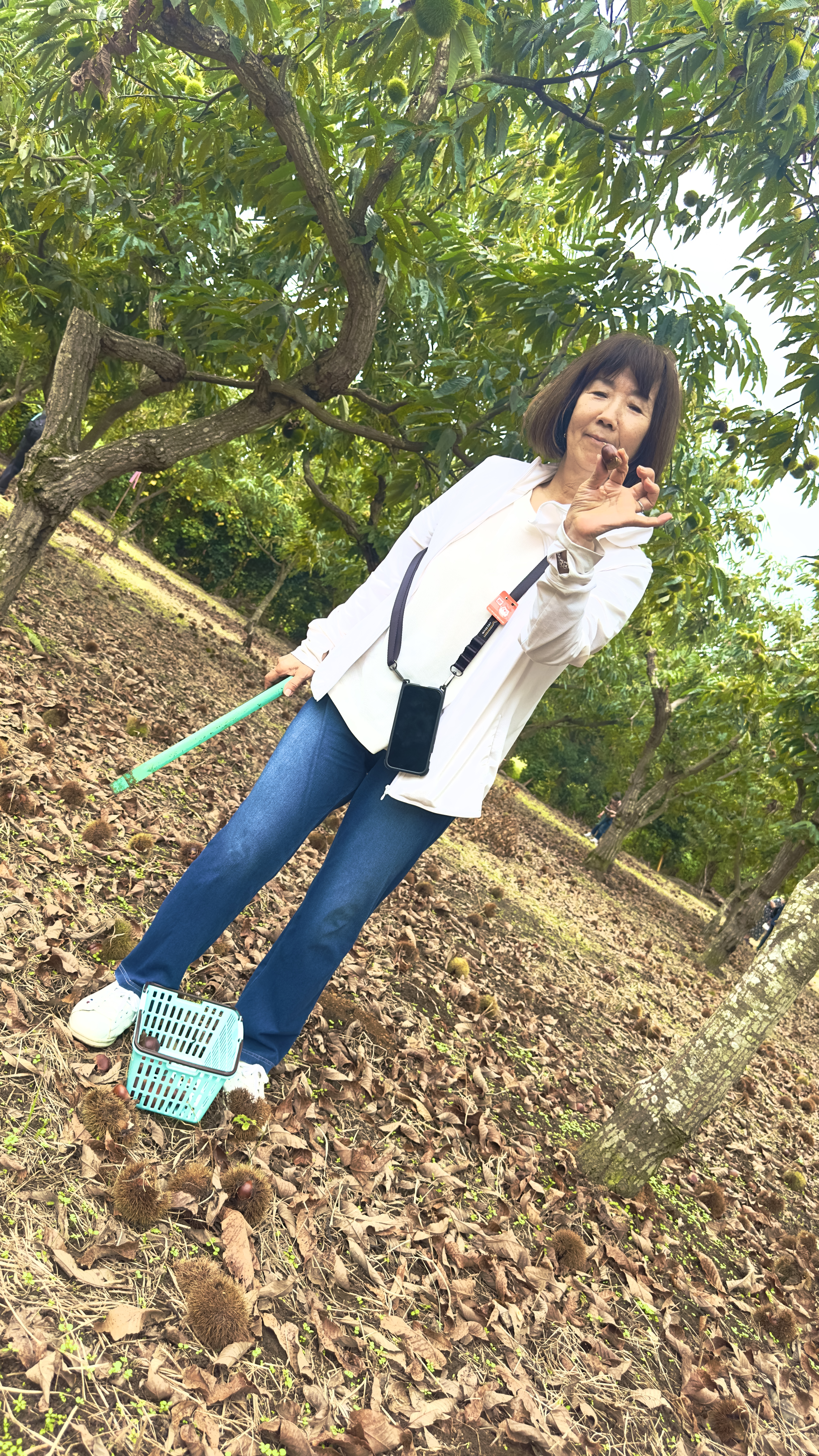 安田果樹園
