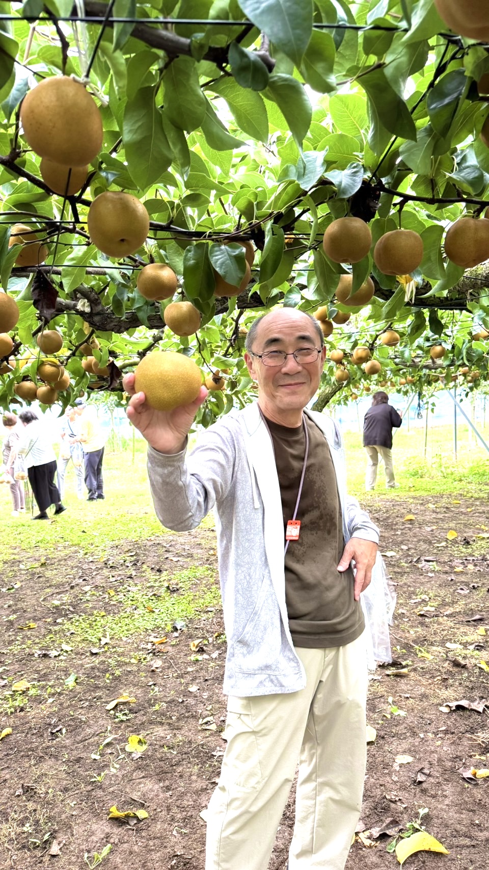 安田果樹園