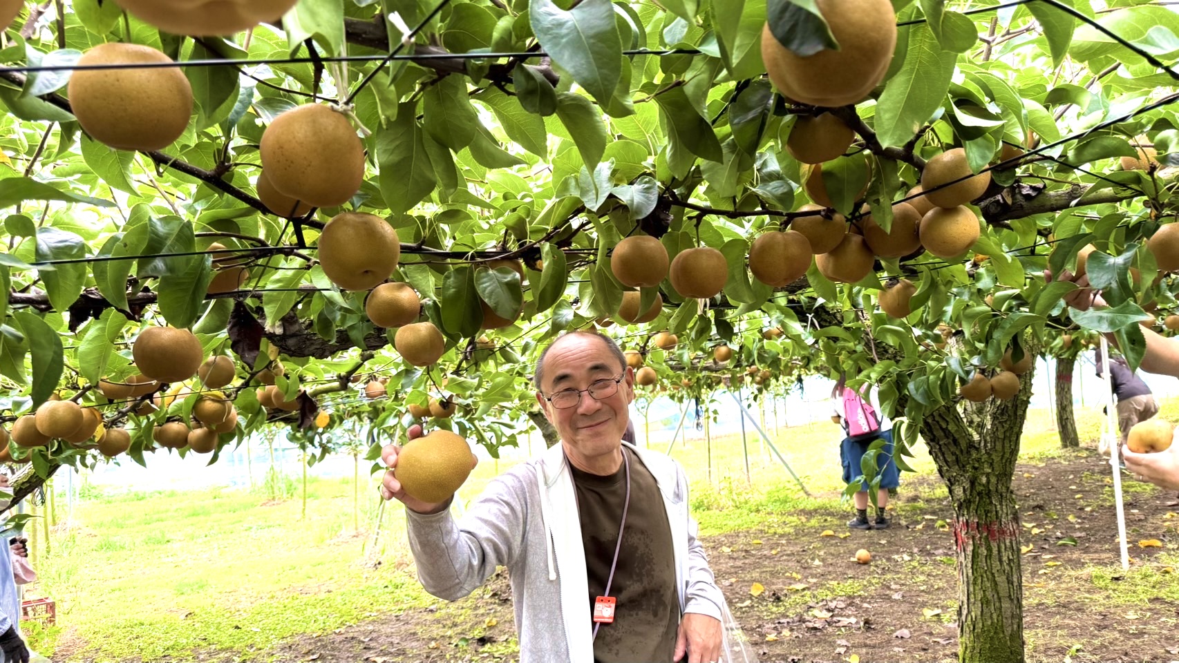 安田果樹園