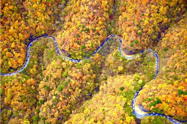 画像の説明 画像の説明