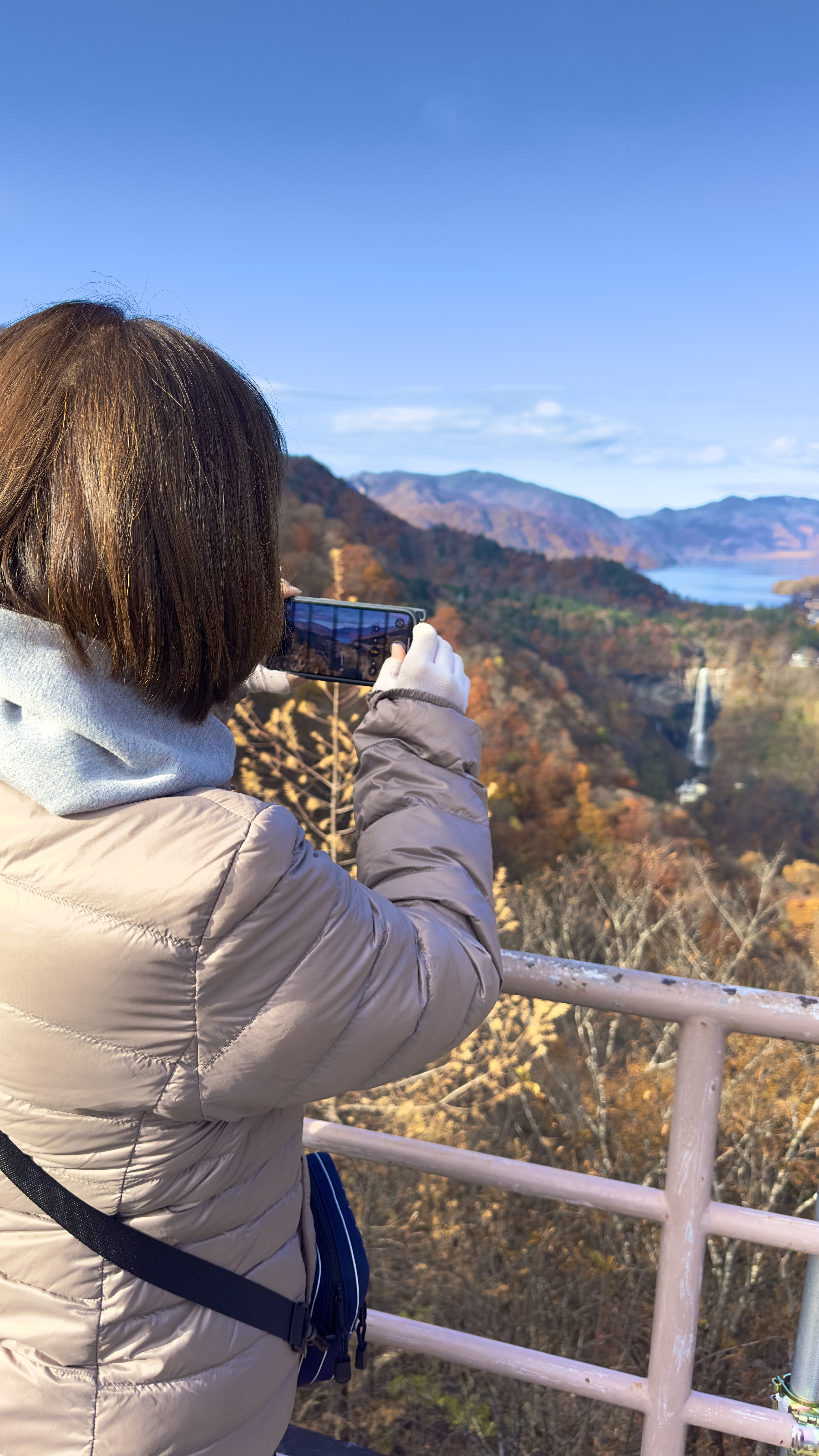 画像の説明 画像の説明