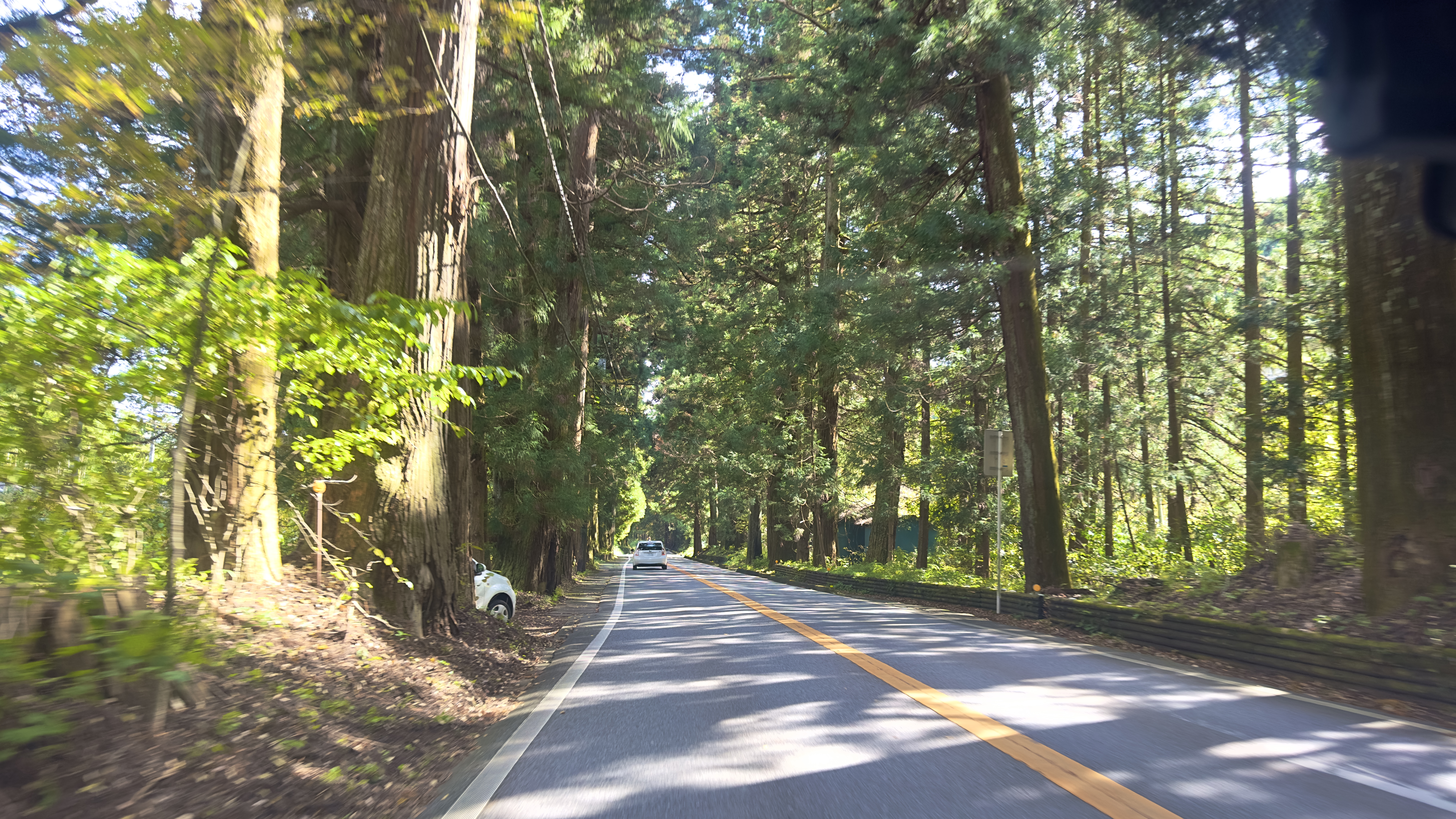 画像の説明 画像の説明