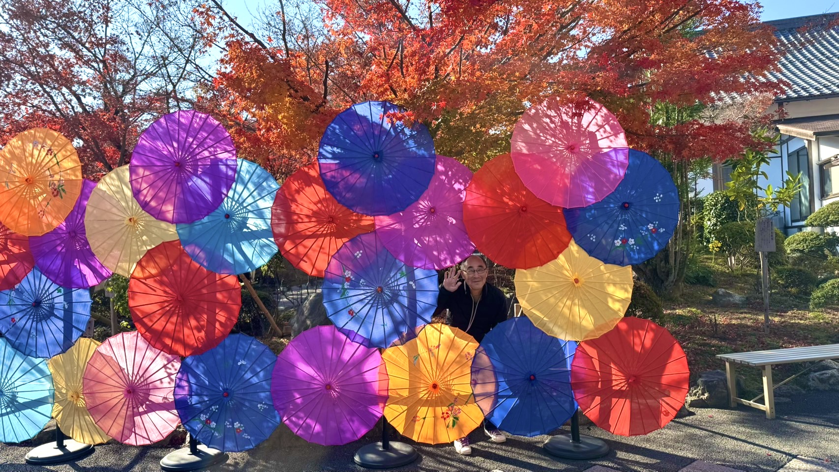 画像の説明 画像の説明