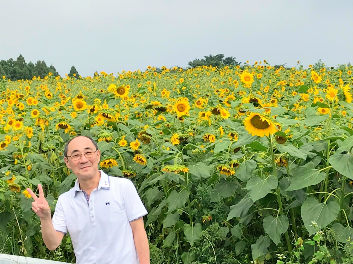 群馬鼻高展望花の丘 1563409774766~2