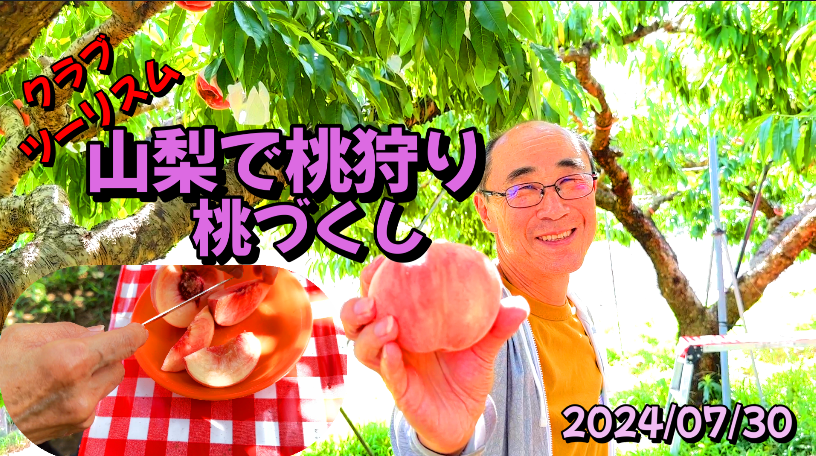 山梨で桃狩り40分食べ放題＆桃２箱お持ち帰り、日本三奇橋 猿橋