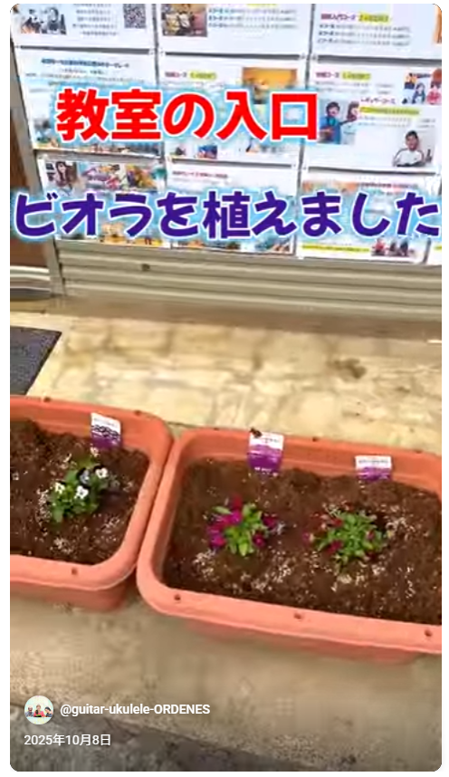 教室の入口 ビオラを植えました