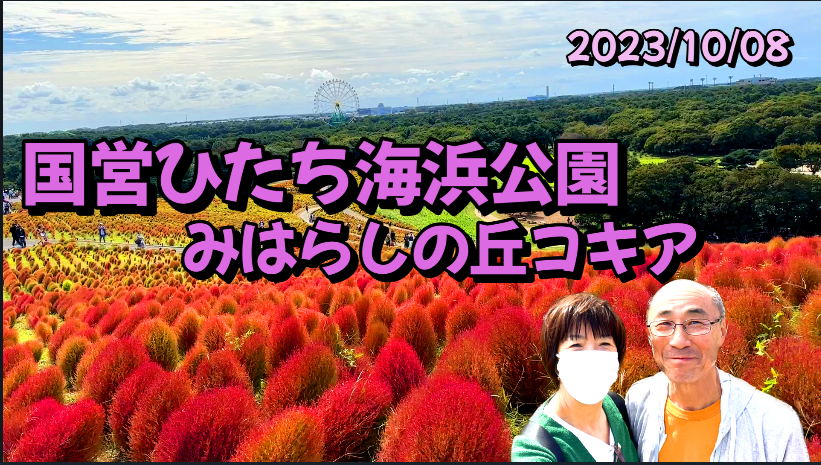 国営ひたち海浜公園みはらしの丘コキア