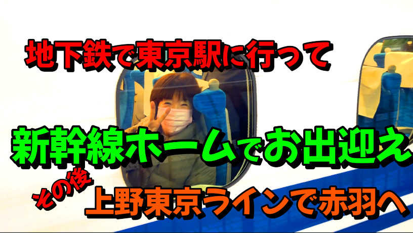 地下鉄で東京駅に行って、新幹線ホームでお出迎え、その後、上野東京ラインで赤羽へ行く方法