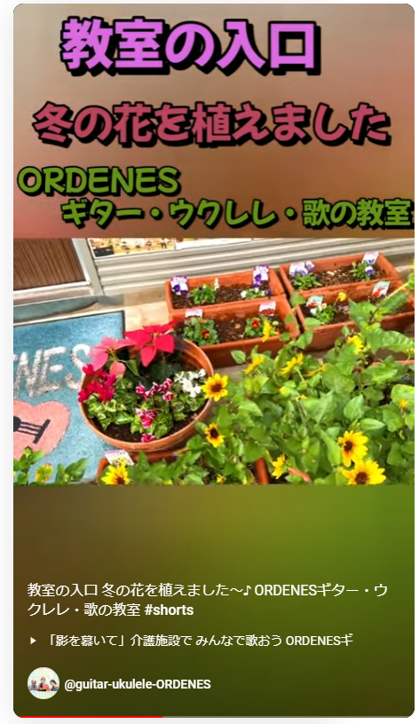 教室の入口 冬の花を植えました～♪ ORDENESギター・ウクレレ・歌の教室