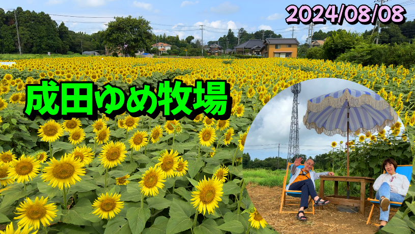 成田ゆめ牧場、ひまわり畑、発酵の里こうざき、きぬの湯