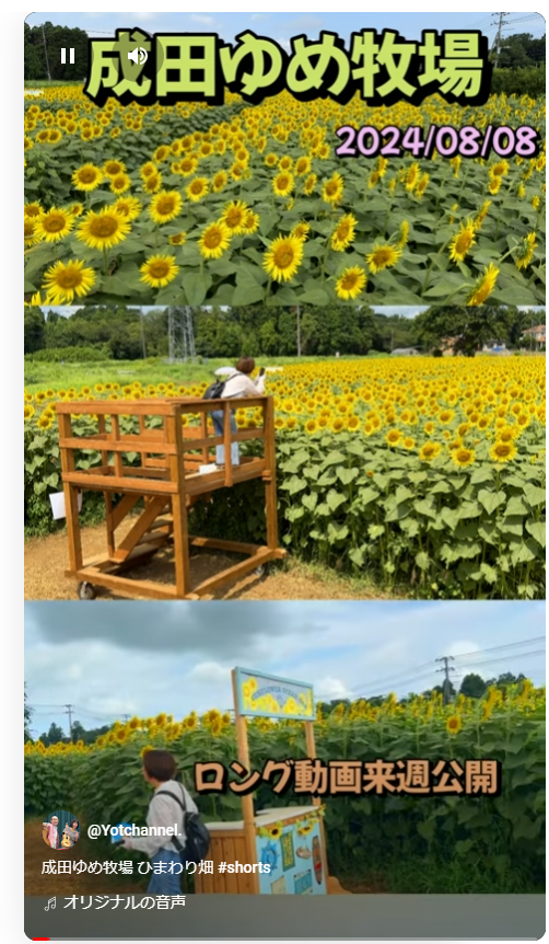 成田ゆめ牧場