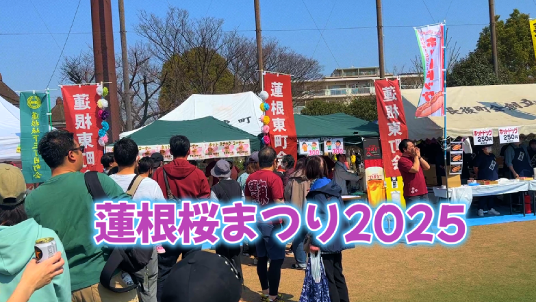 蓮根桜まつり
