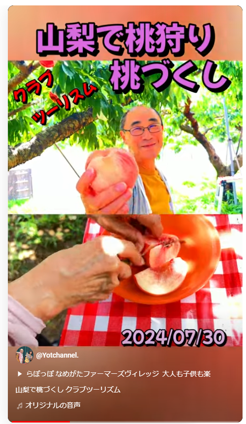 山梨で桃狩り40分食べ放題＆桃２箱お持ち帰り、日本三奇橋 猿橋
