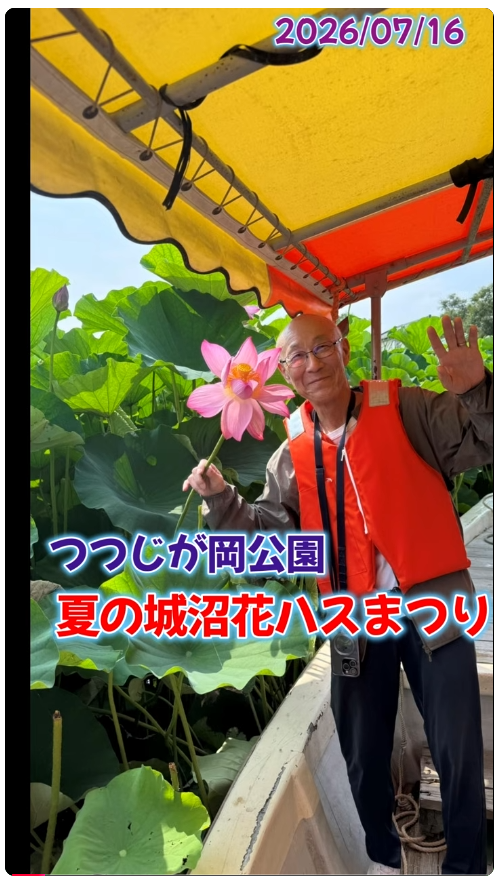 つつじが岡公園 夏の城沼花ハスまつり