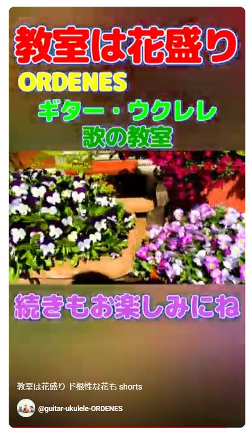 教室は花盛り・ド根性な花も