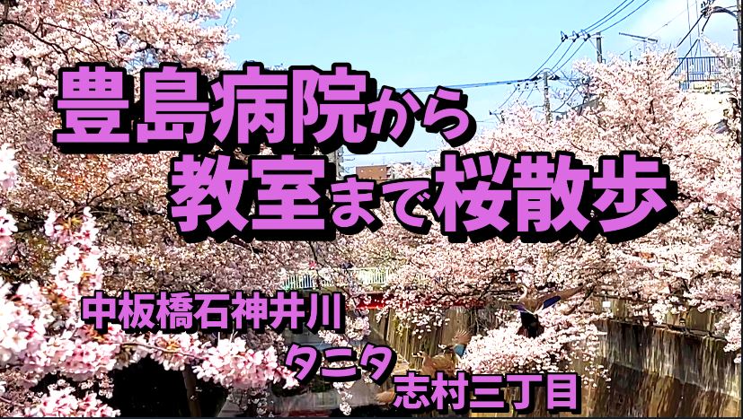 豊島病院から教室まで桜散歩 中板橋石神井川 タニタの桜 志村三丁目