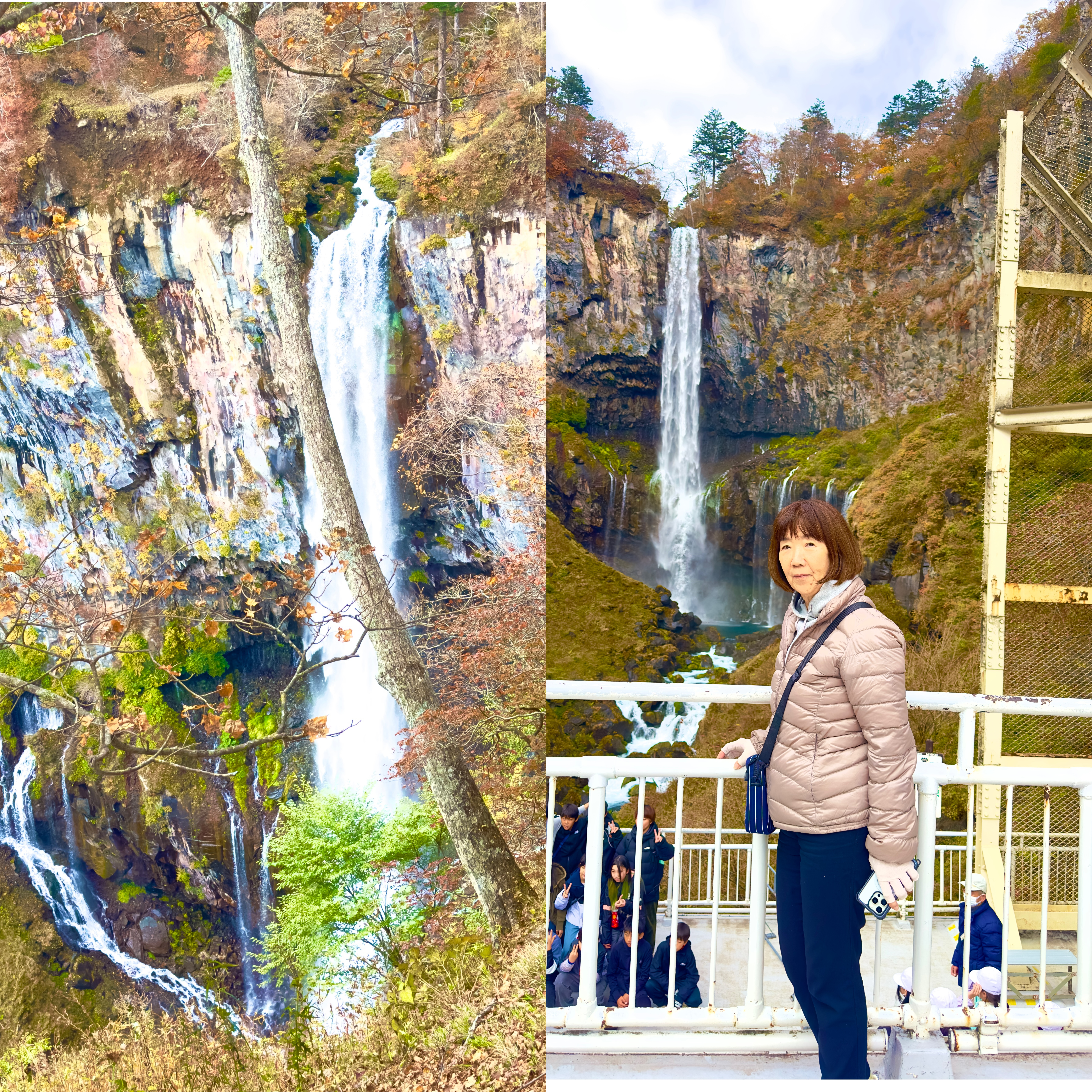 画像の説明 画像の説明