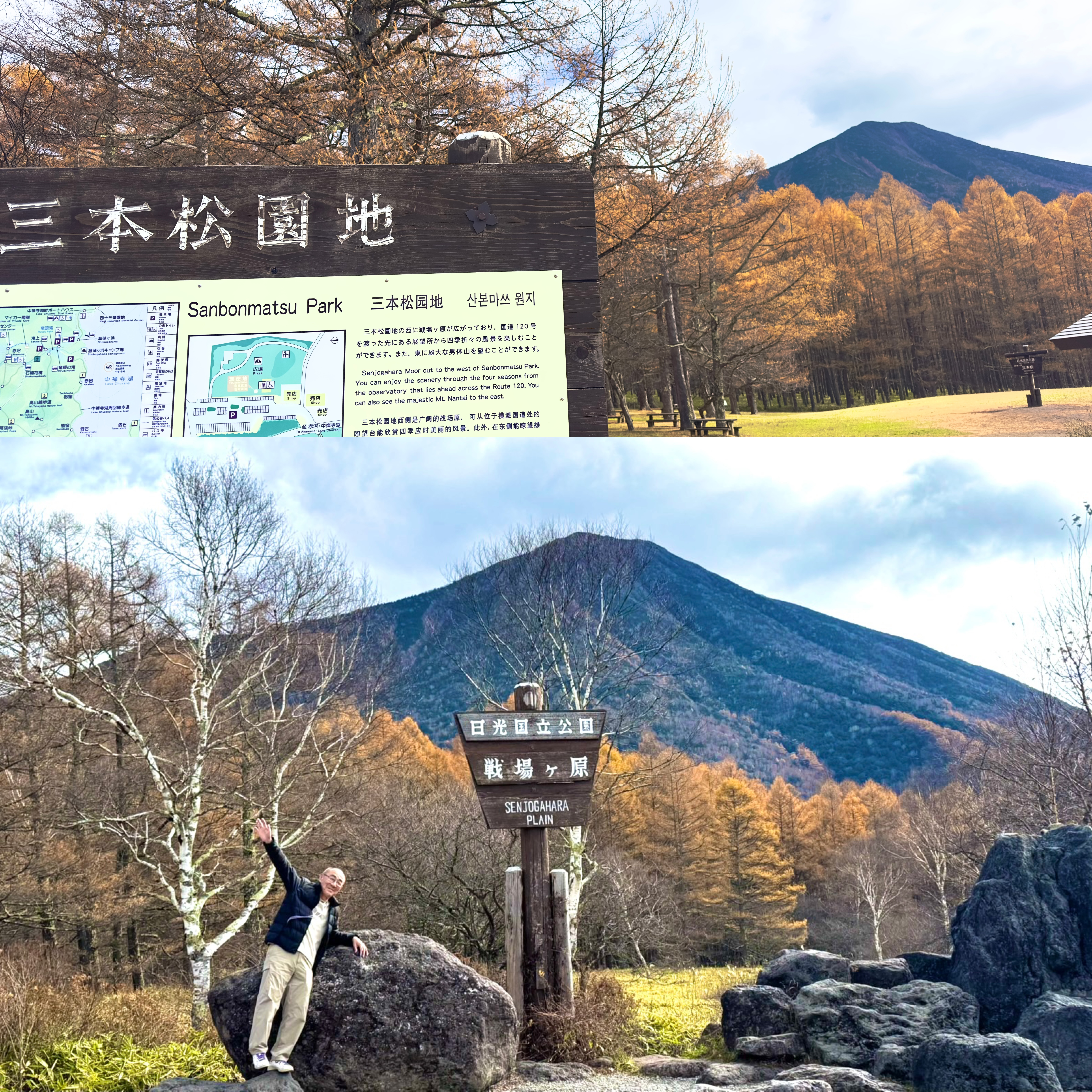 画像の説明 画像の説明