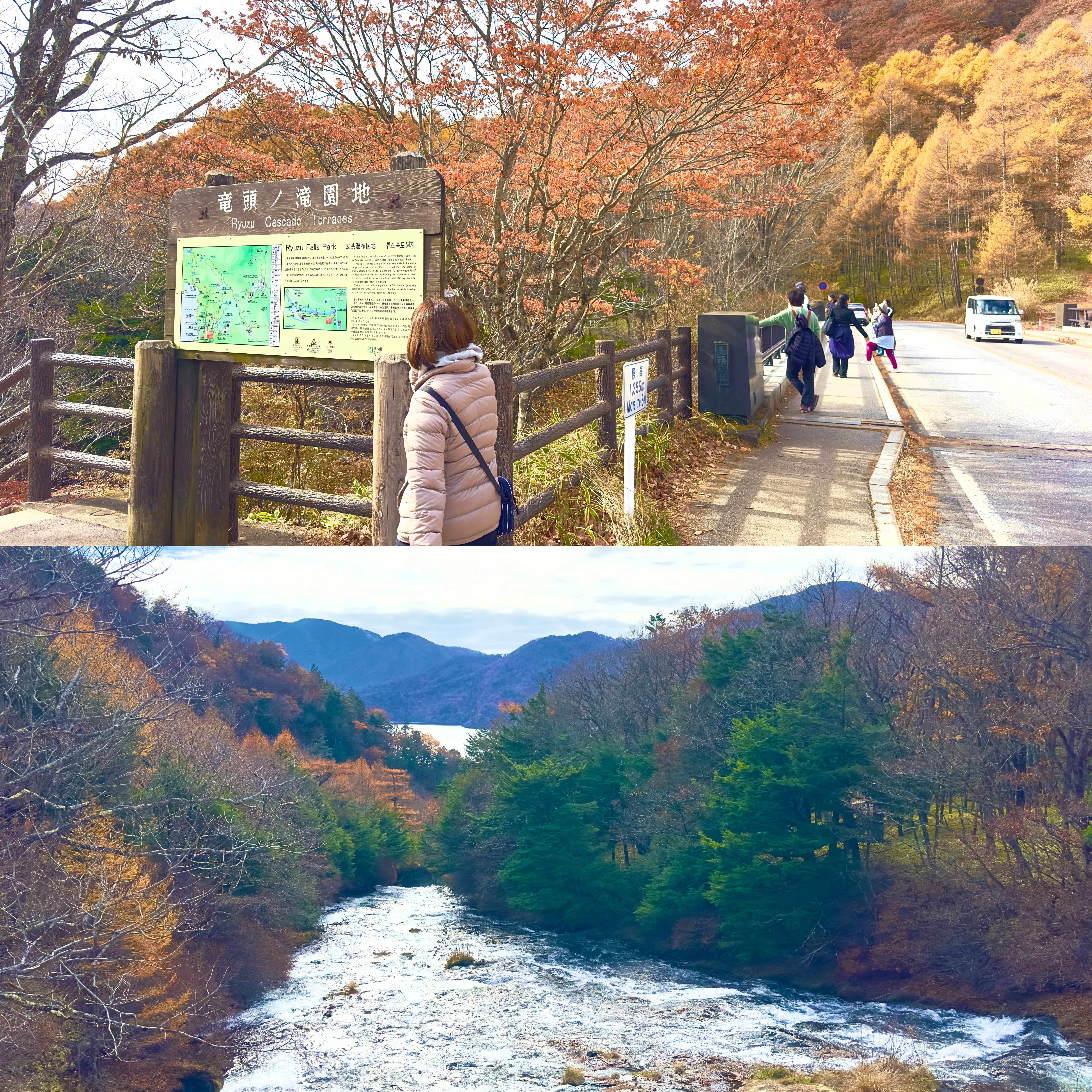 画像の説明 画像の説明