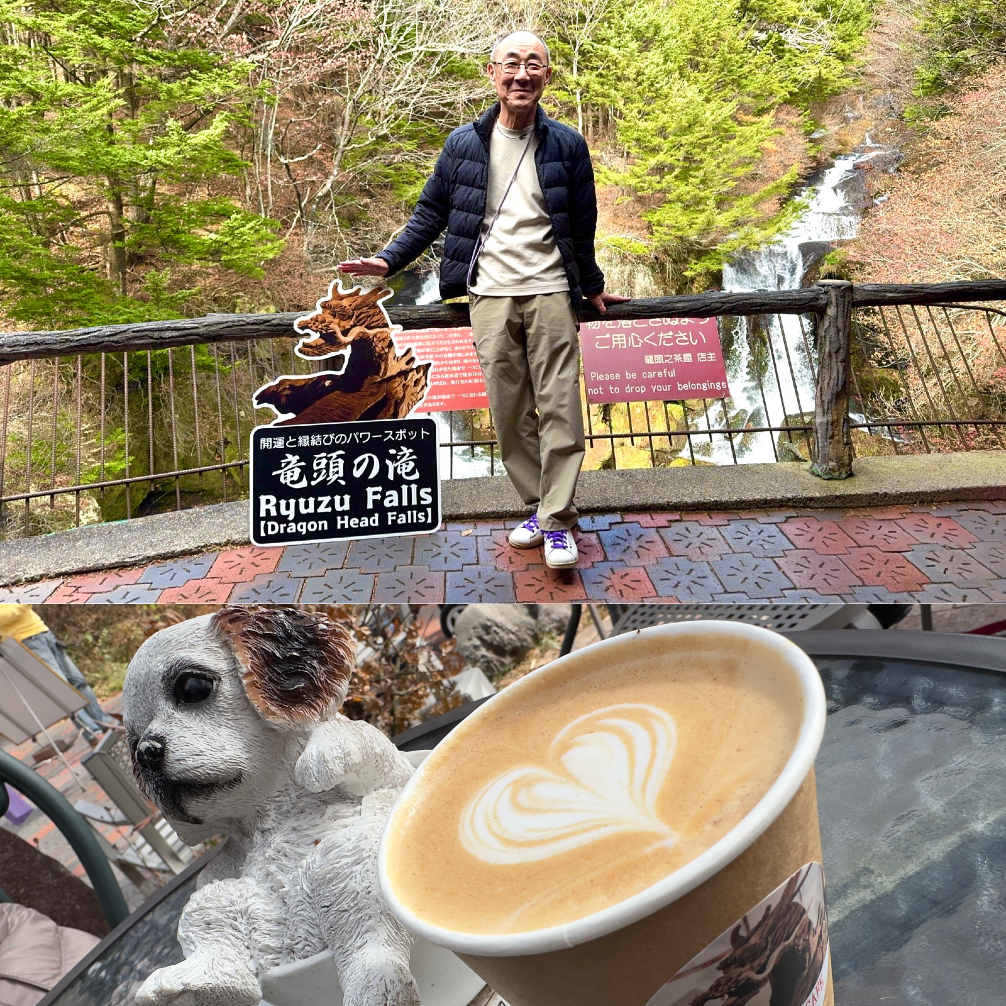 画像の説明 画像の説明