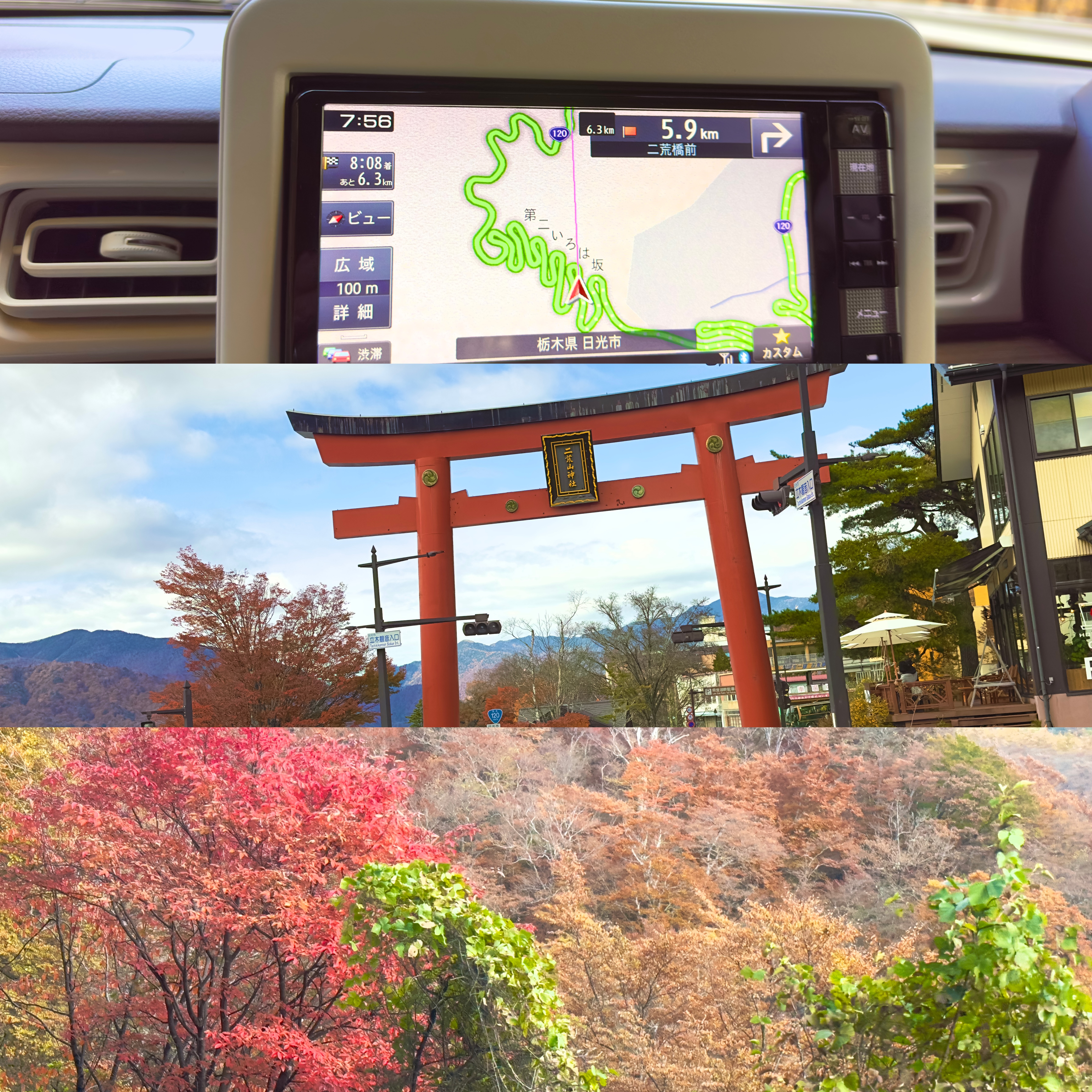 画像の説明 画像の説明