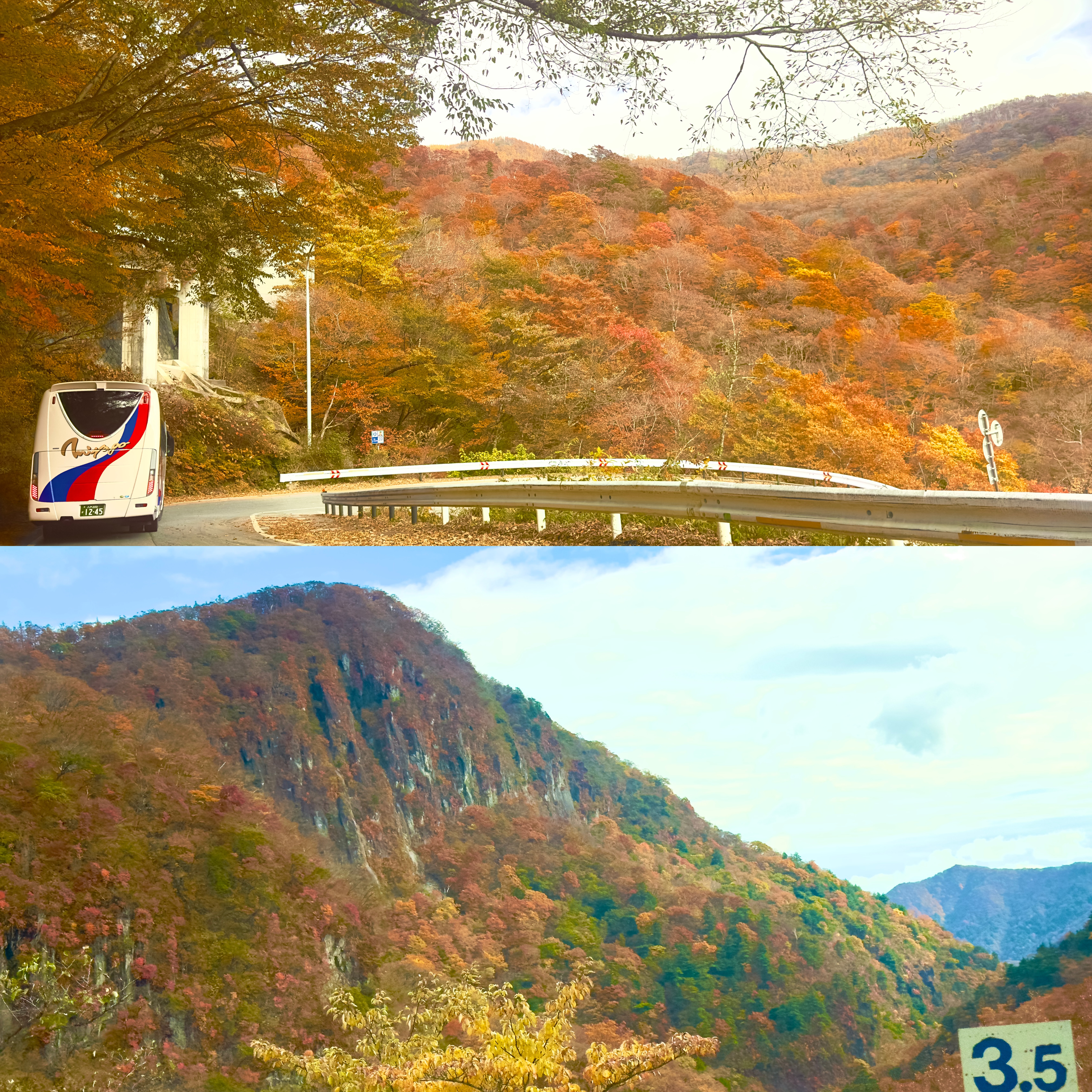 画像の説明 画像の説明