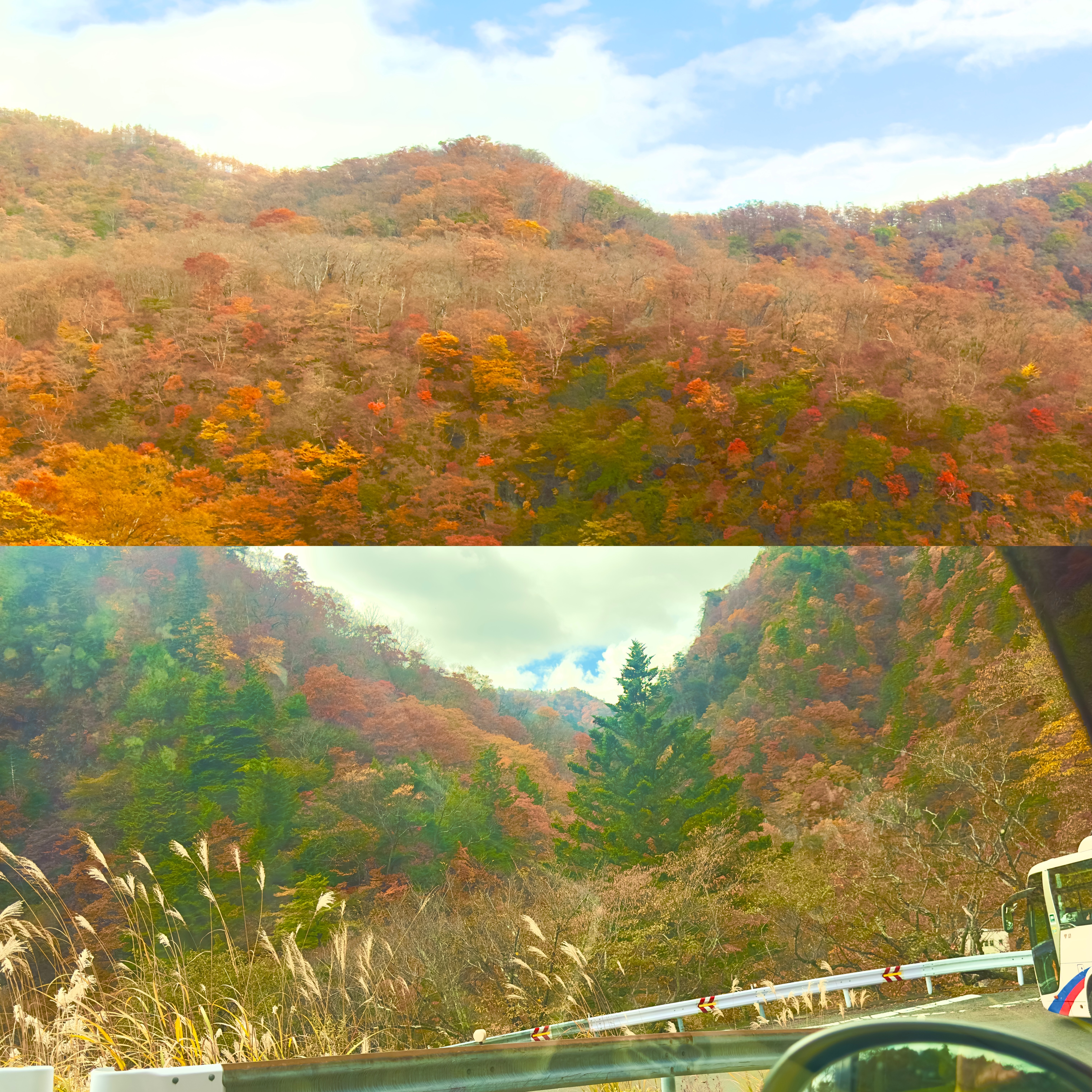 画像の説明 画像の説明