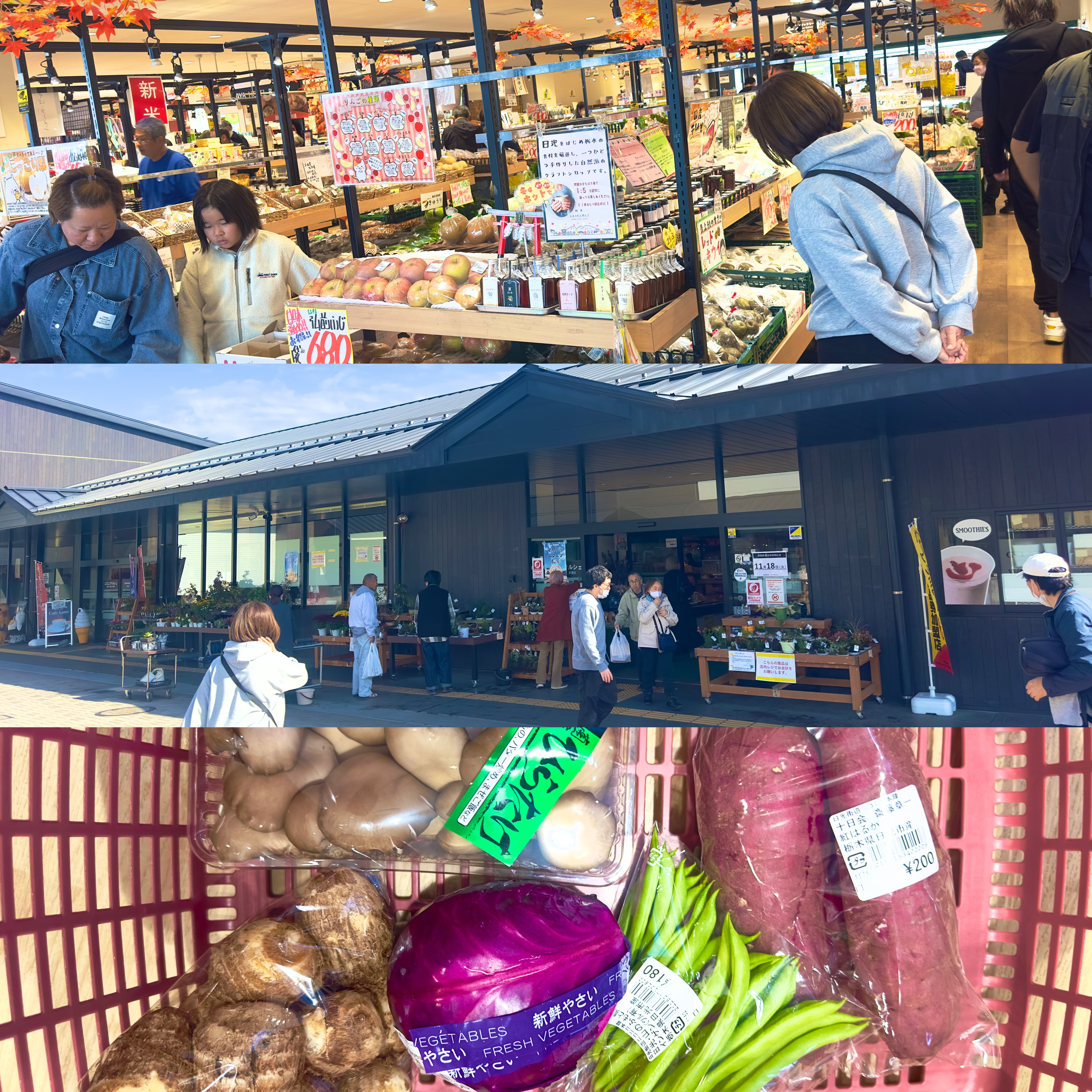 画像の説明 画像の説明