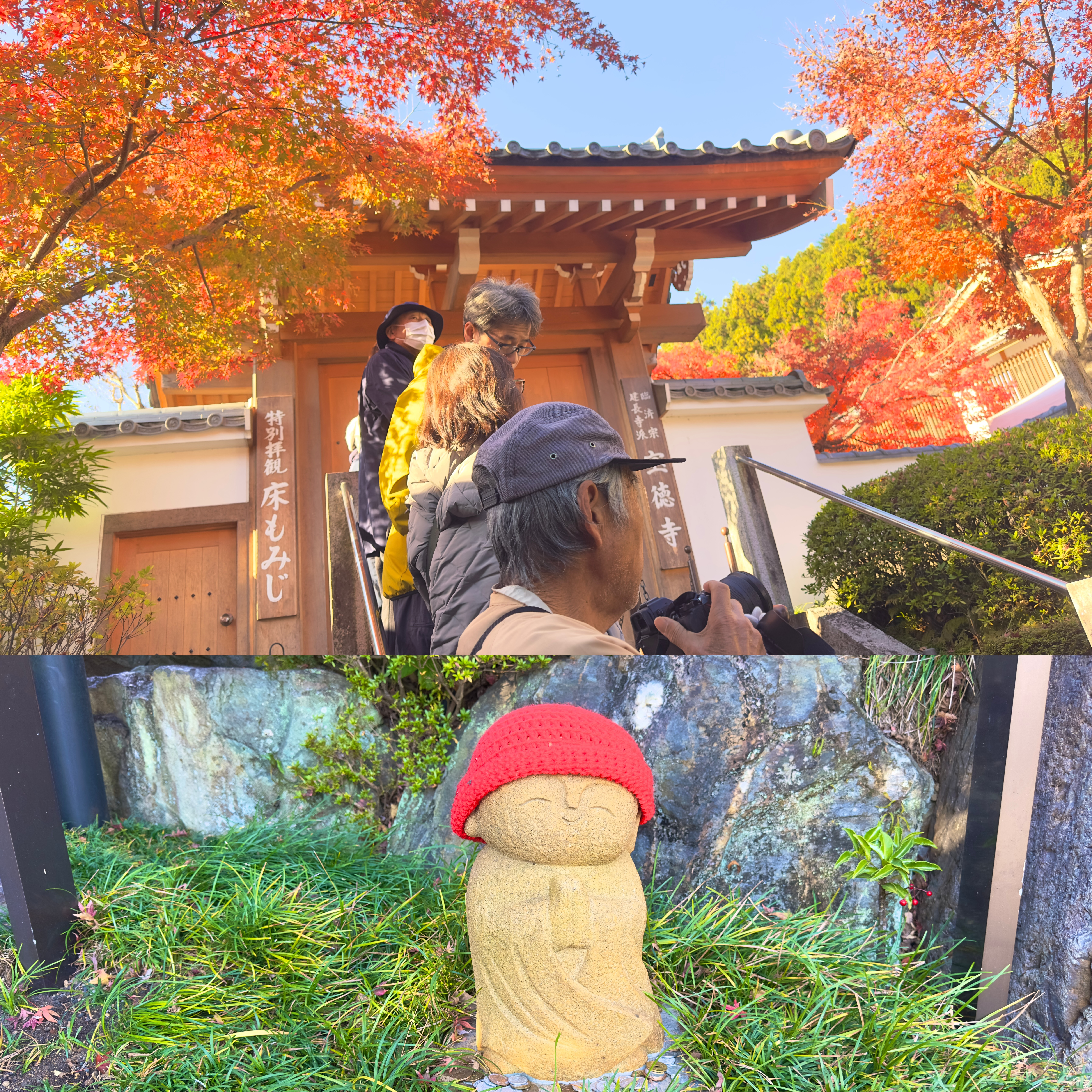 画像の説明 画像の説明