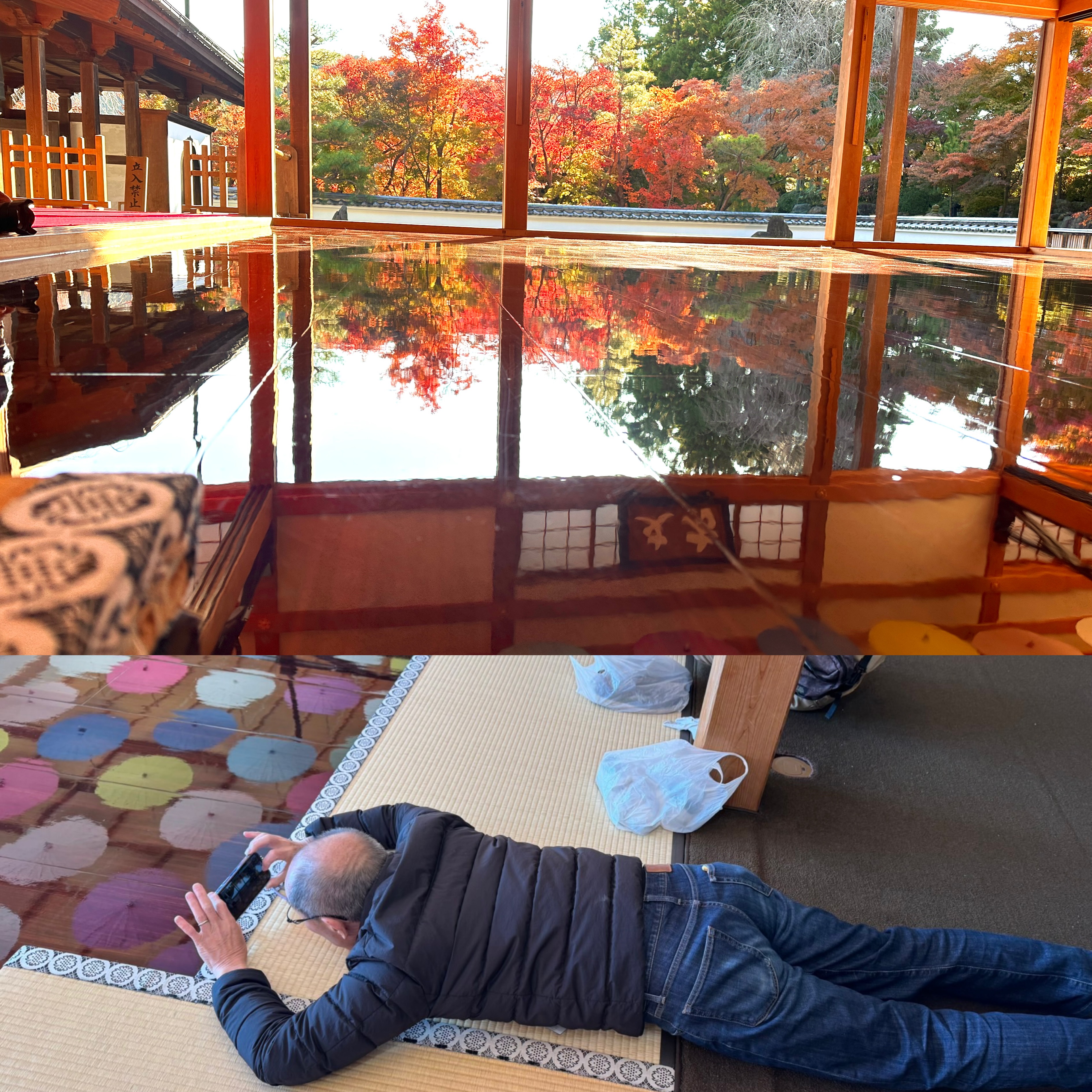 画像の説明 画像の説明